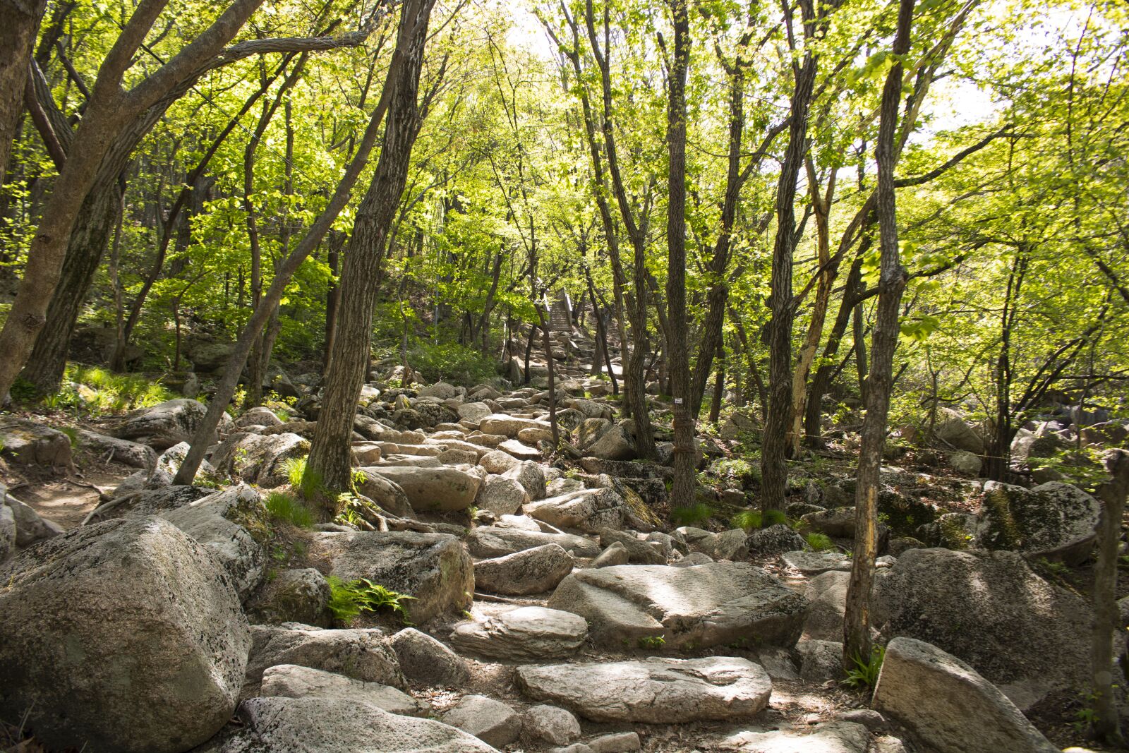 Canon EOS 750D (EOS Rebel T6i / EOS Kiss X8i) sample photo. Road, walk, mountain photography