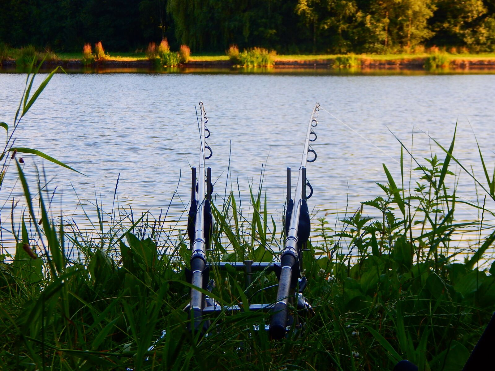 Nikon Coolpix L830 sample photo. Fishing rod, fish, water photography