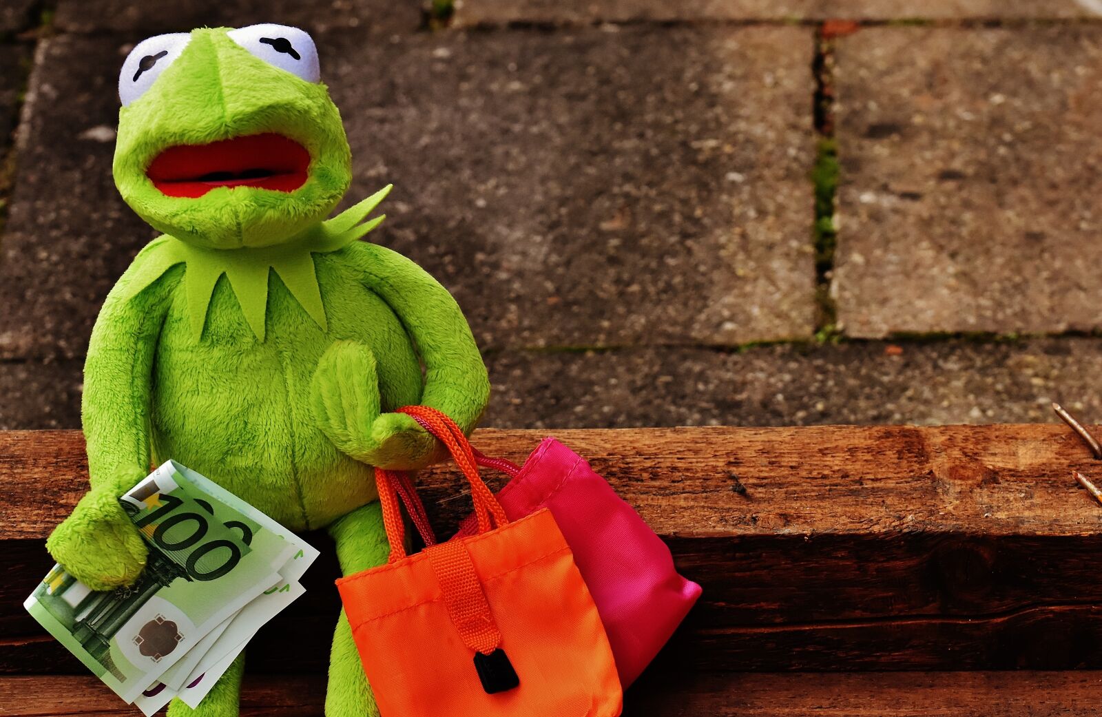Nikon D7200 sample photo. Shopping, kermit, money photography