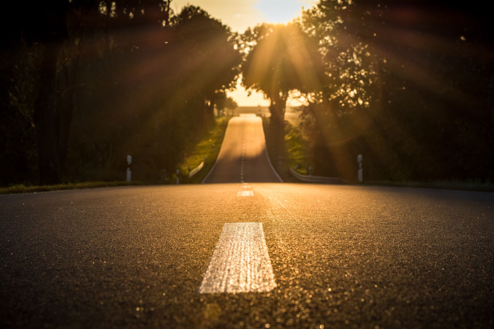 Nikon D7200 sample photo. Road, sunset, backlighting photography