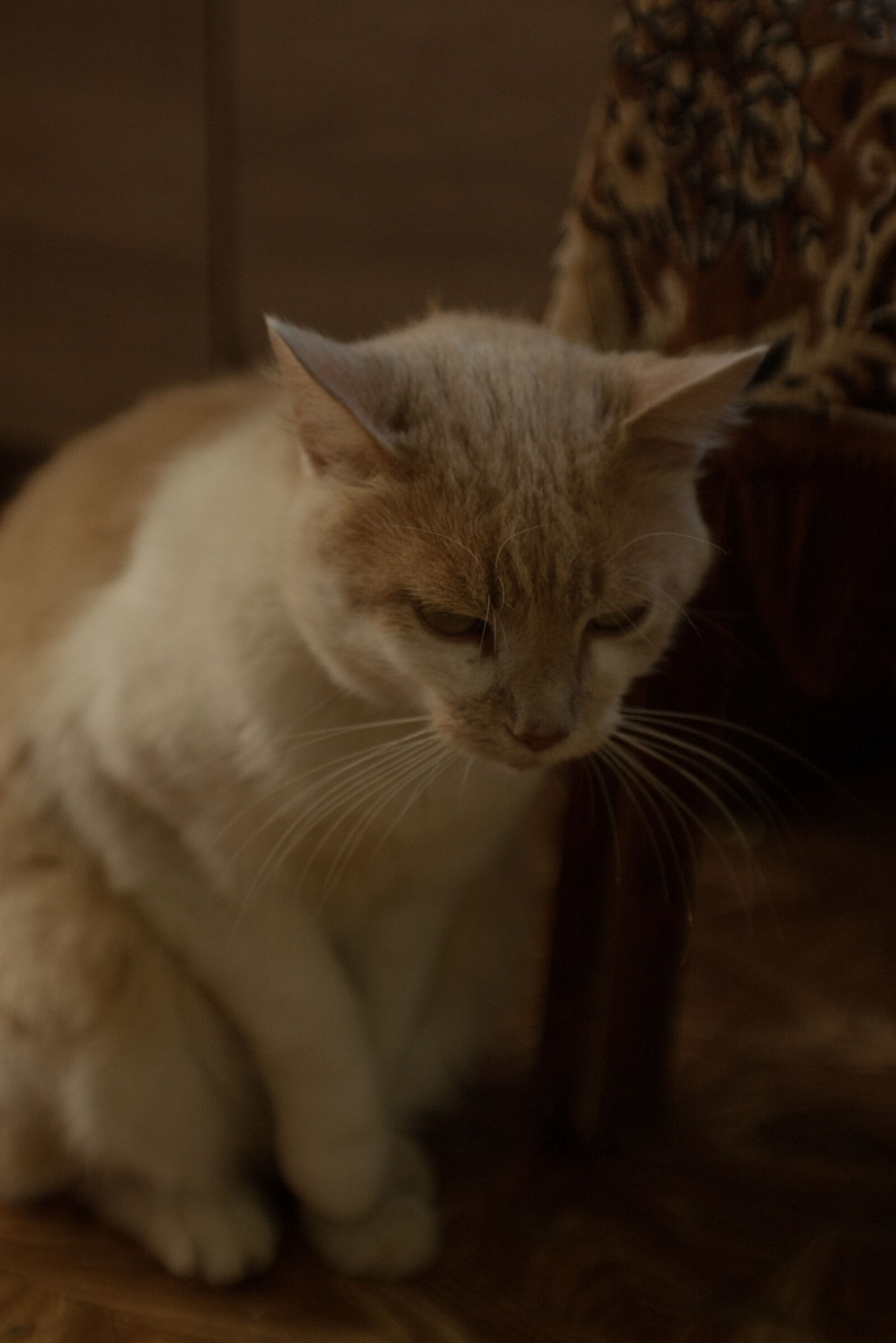 Pentax *ist DS sample photo
