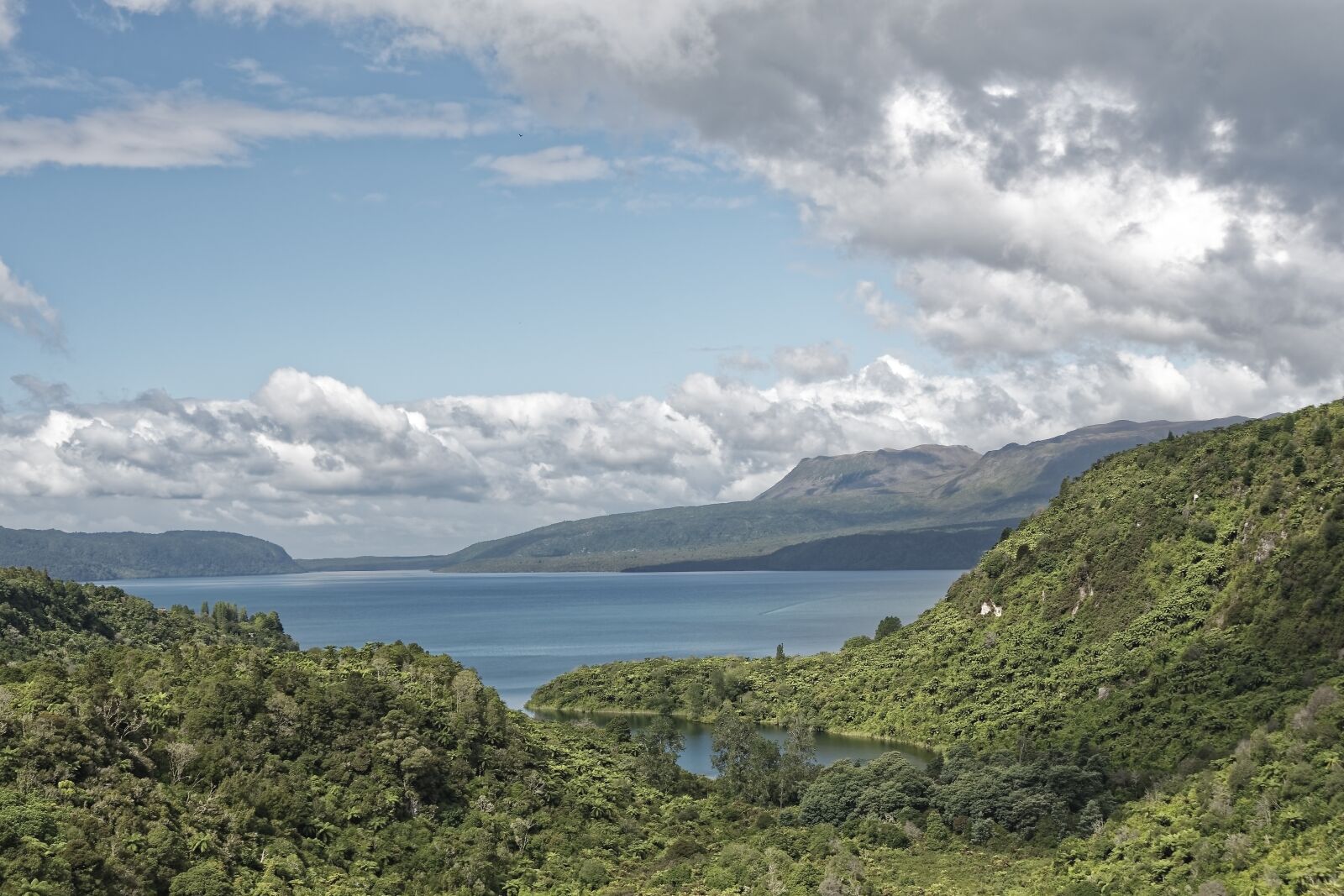 Nikon D500 sample photo. New zealand, lake tarawera photography
