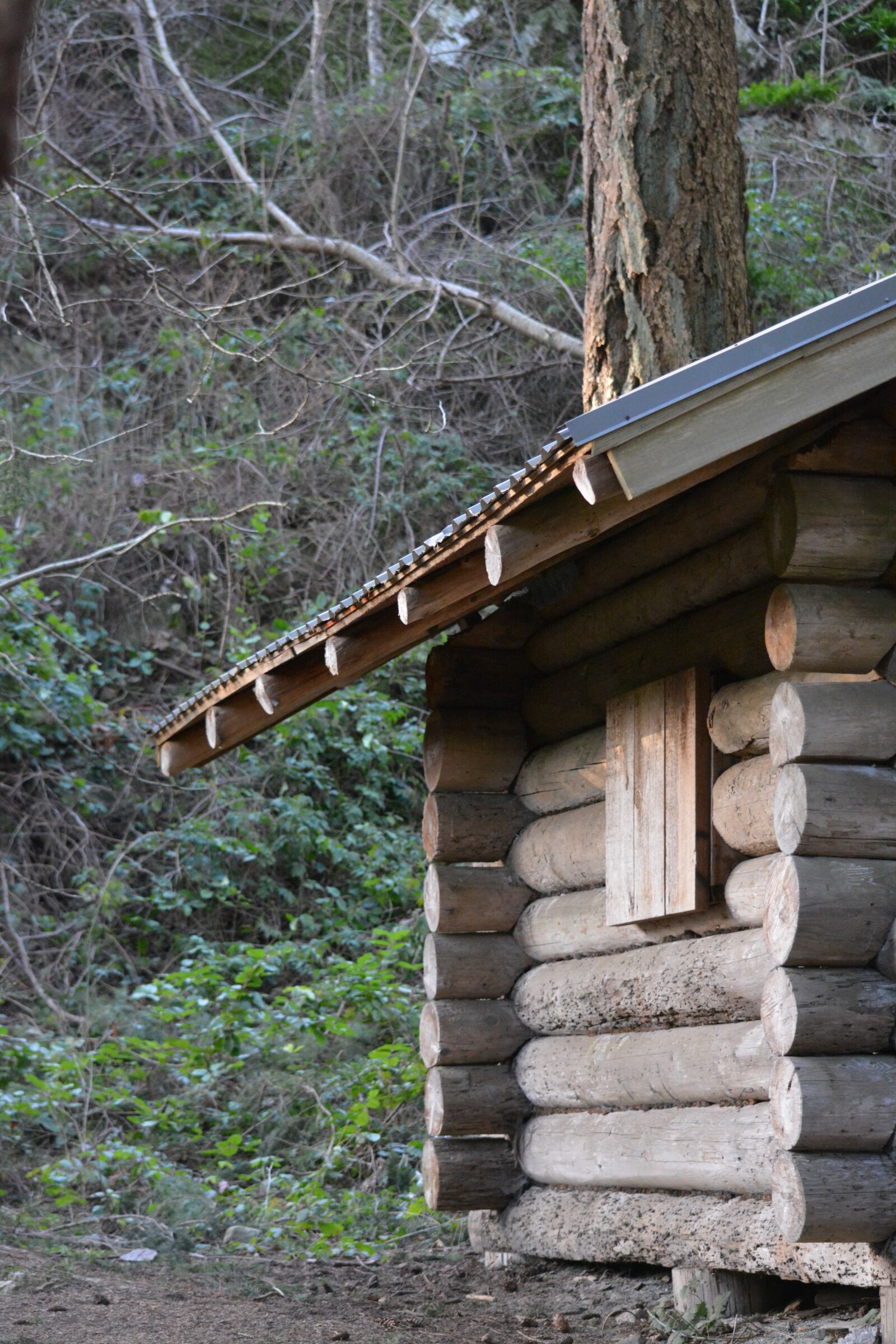 Nikon D5200 sample photo. Cabin, mountain, scenic photography