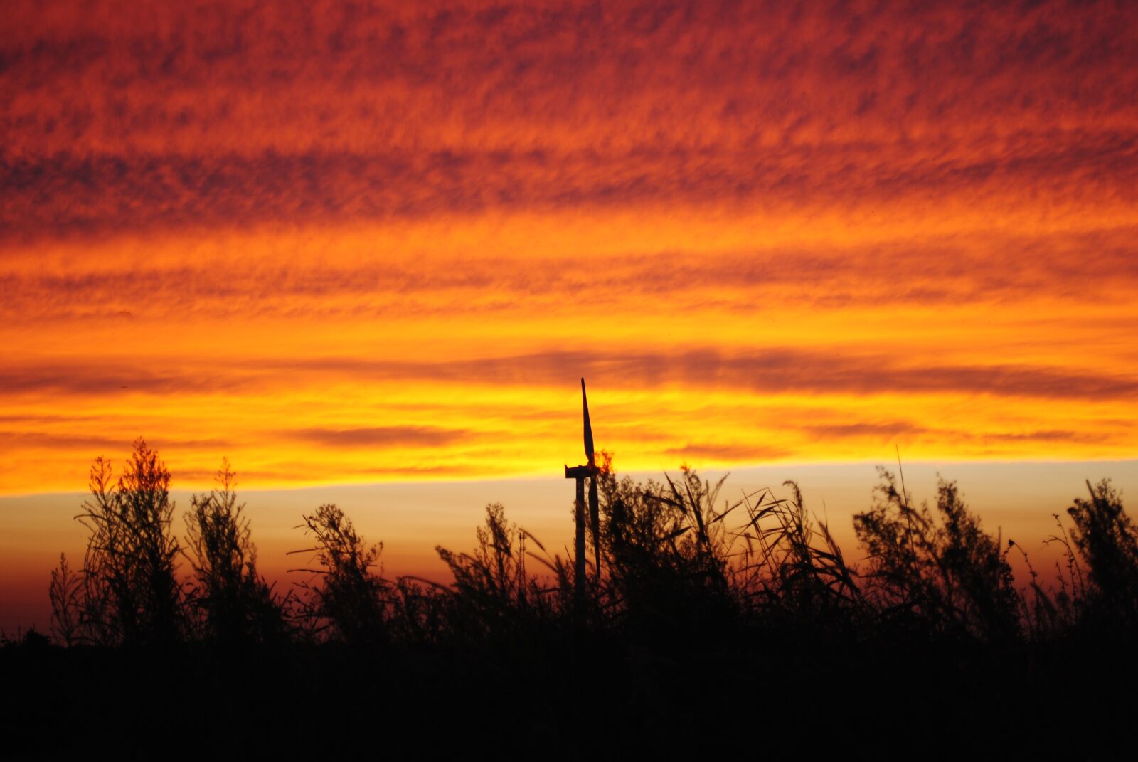 Nikon D3000 sample photo. Sunset, dawn, silhouette photography