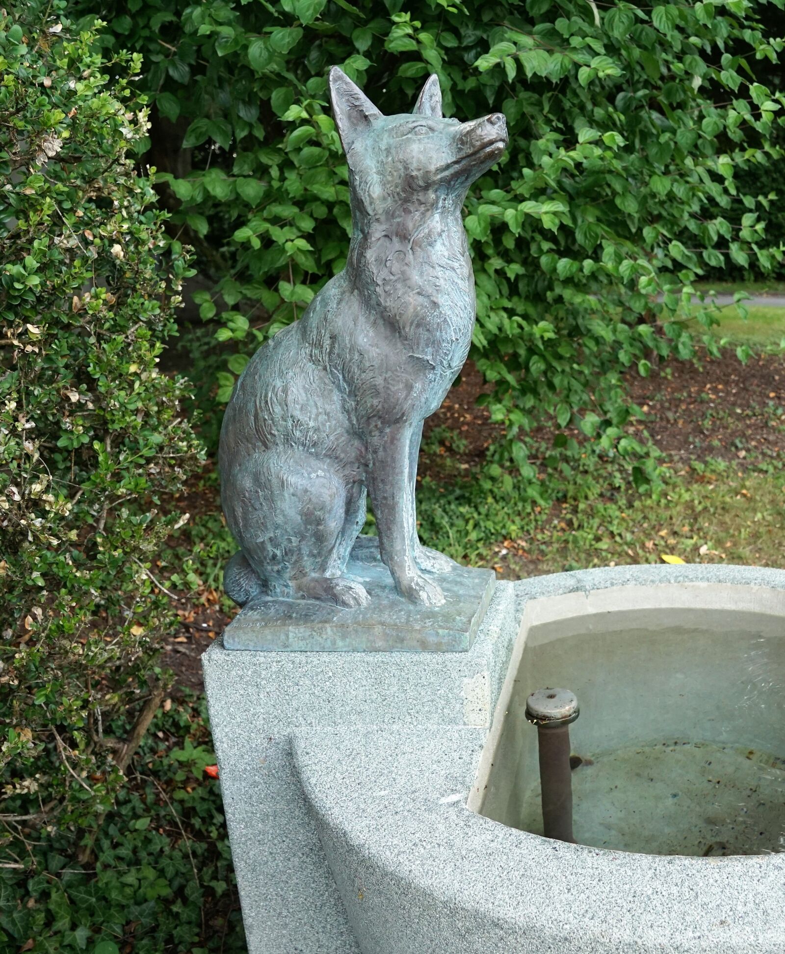 Sony ILCA-77M2 + Sony DT 16-50mm F2.8 SSM sample photo. Fuchs, fountain, nature photography