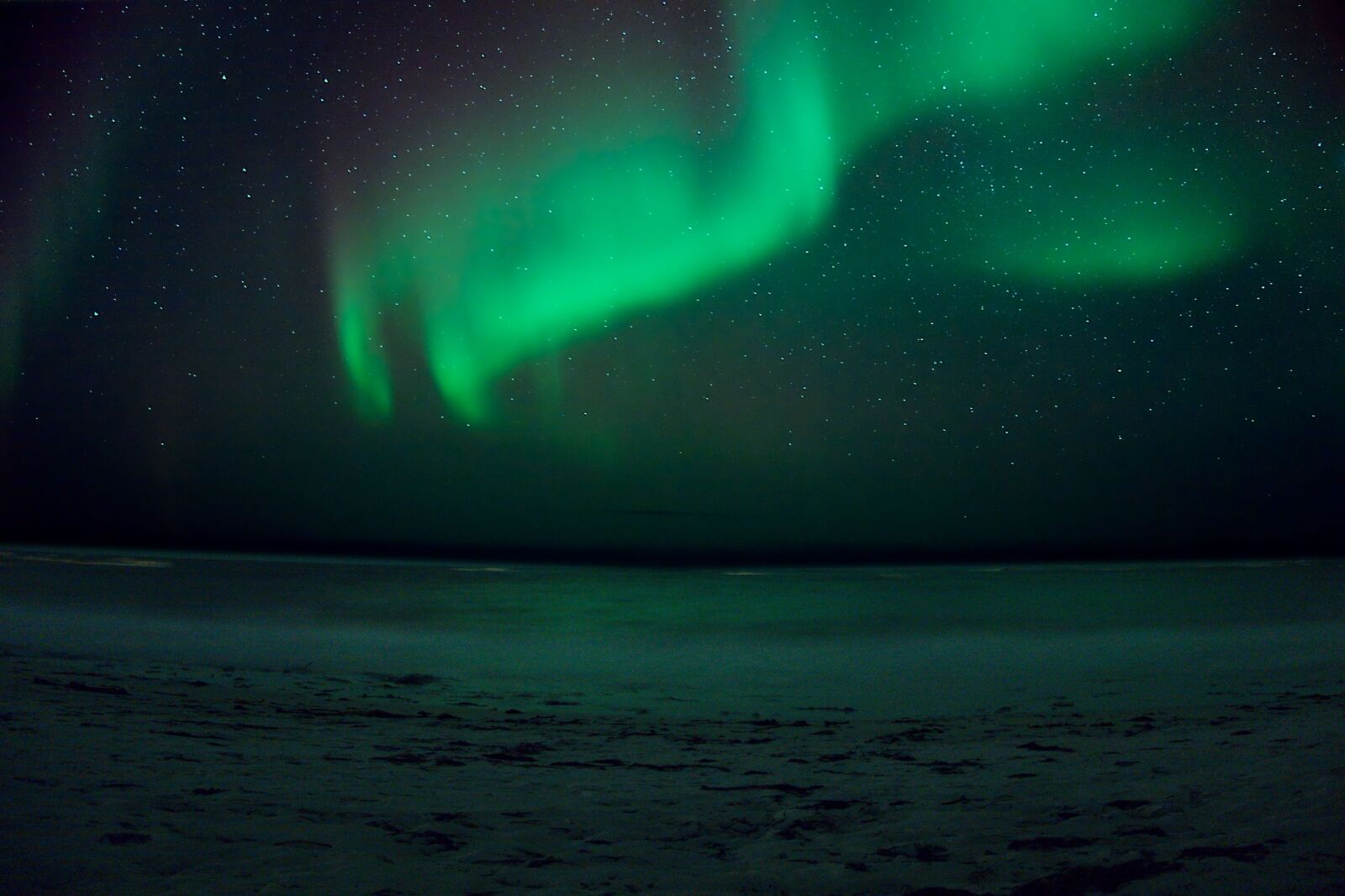 Sony Cyber-shot DSC-RX100 sample photo. Aurora borealis, beach, stars photography