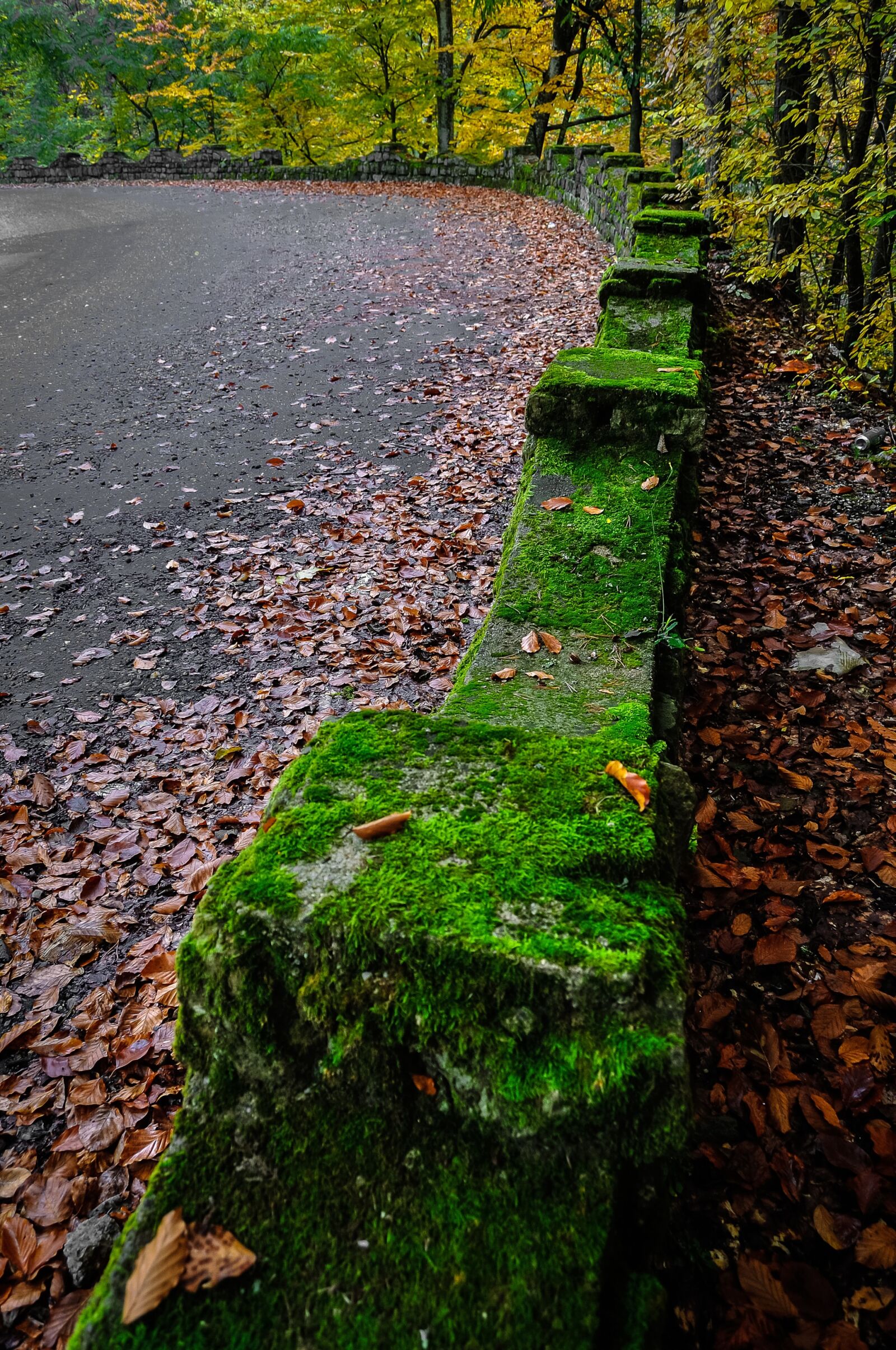 Nikon D5000 sample photo. Street, outdoor, road photography