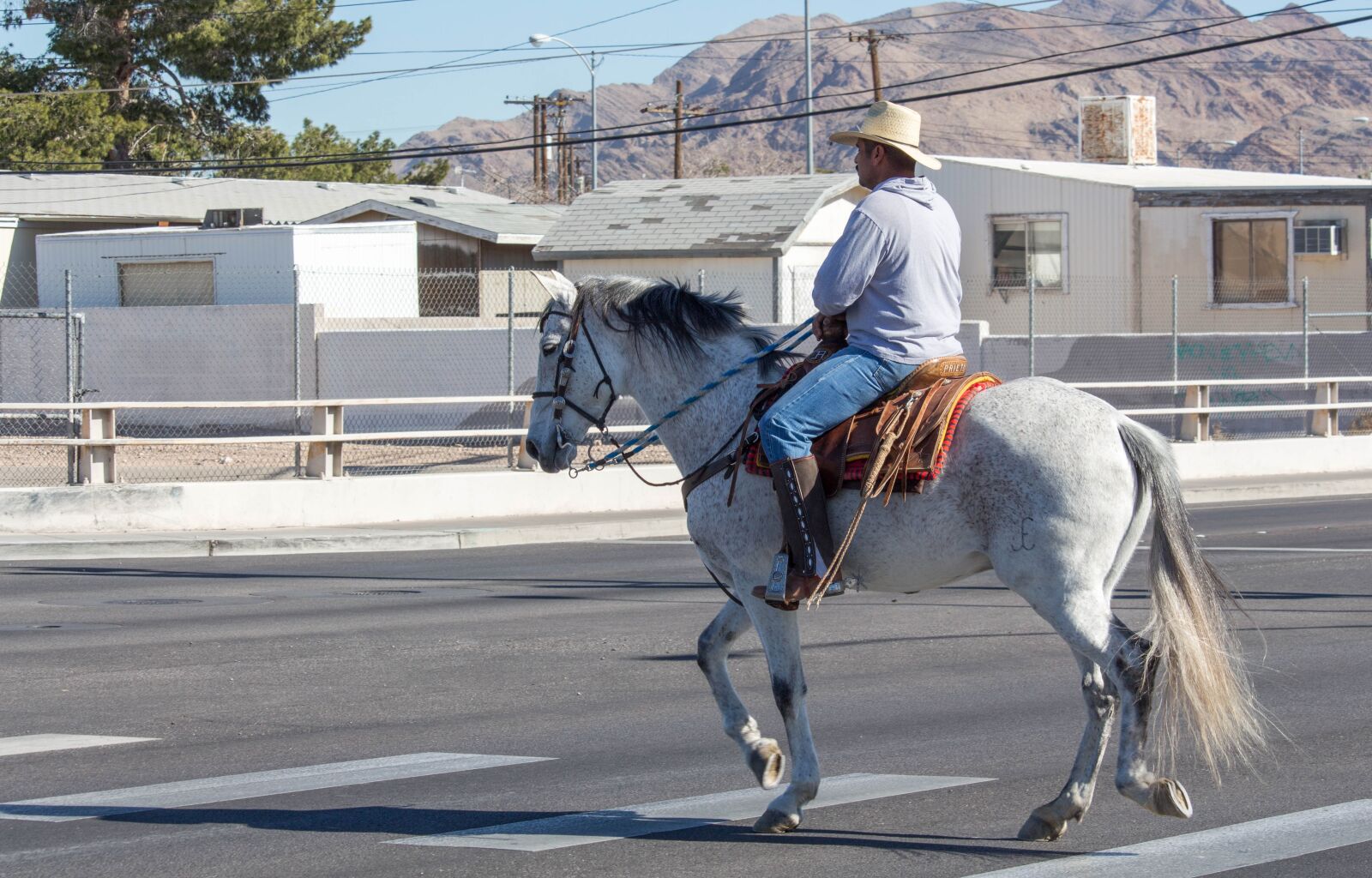Canon EOS 700D (EOS Rebel T5i / EOS Kiss X7i) sample photo. Horse, man, rural photography