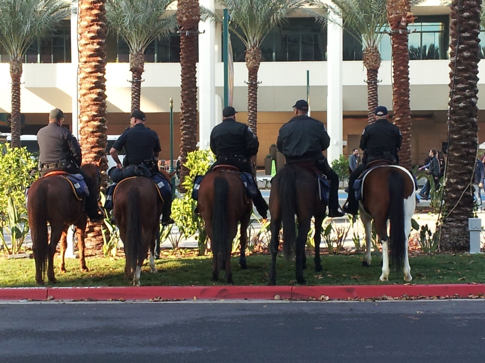 Samsung Galaxy S2 LTE sample photo. Police horses, horses, police photography