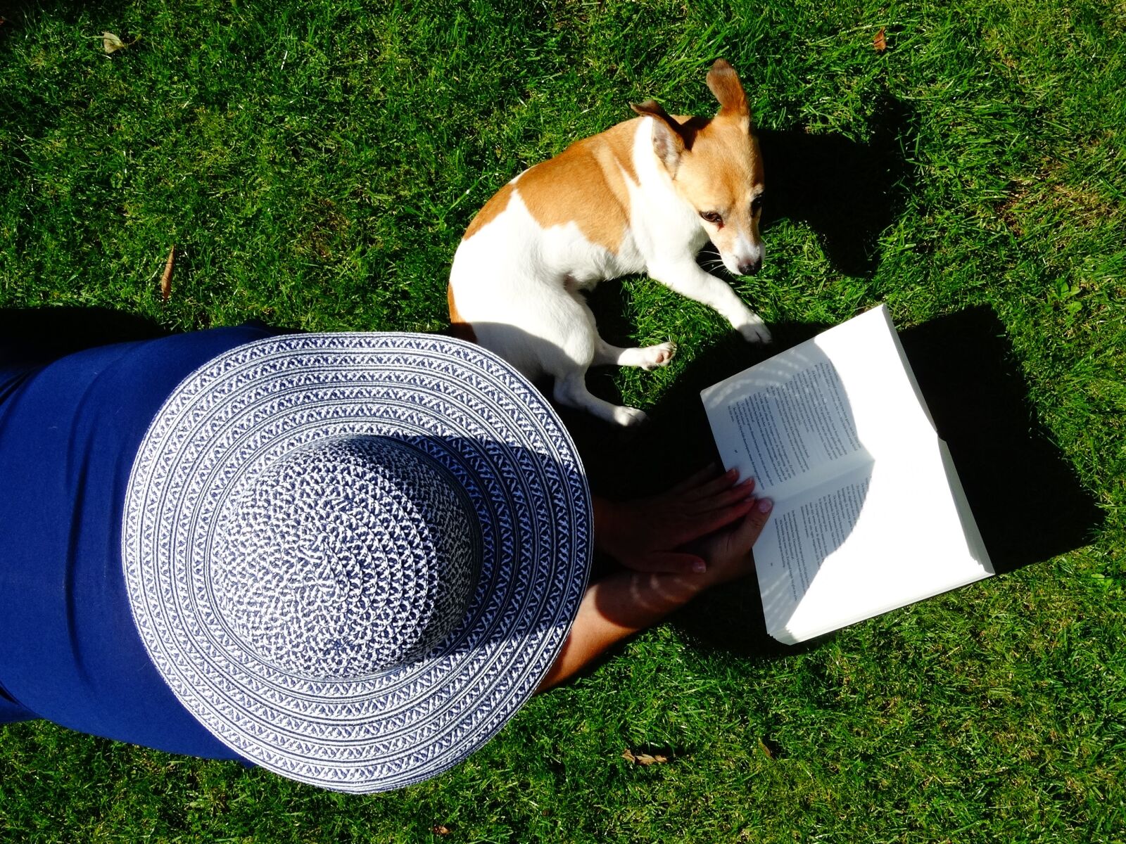 Sony Cyber-shot DSC-HX300 sample photo. Hat, book, read photography