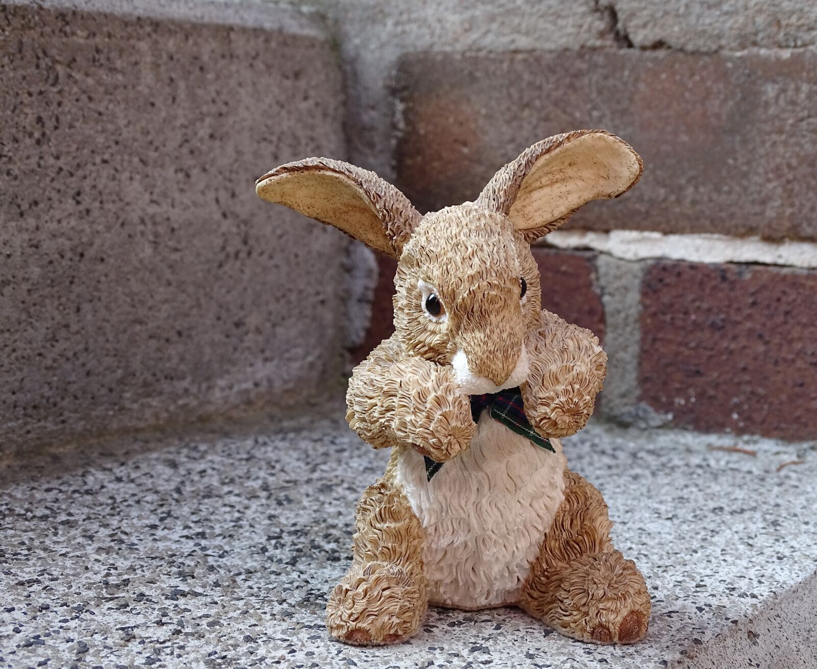 Sony Cyber-shot DSC-HX400V sample photo. Hare, easter bunny, rabbit photography