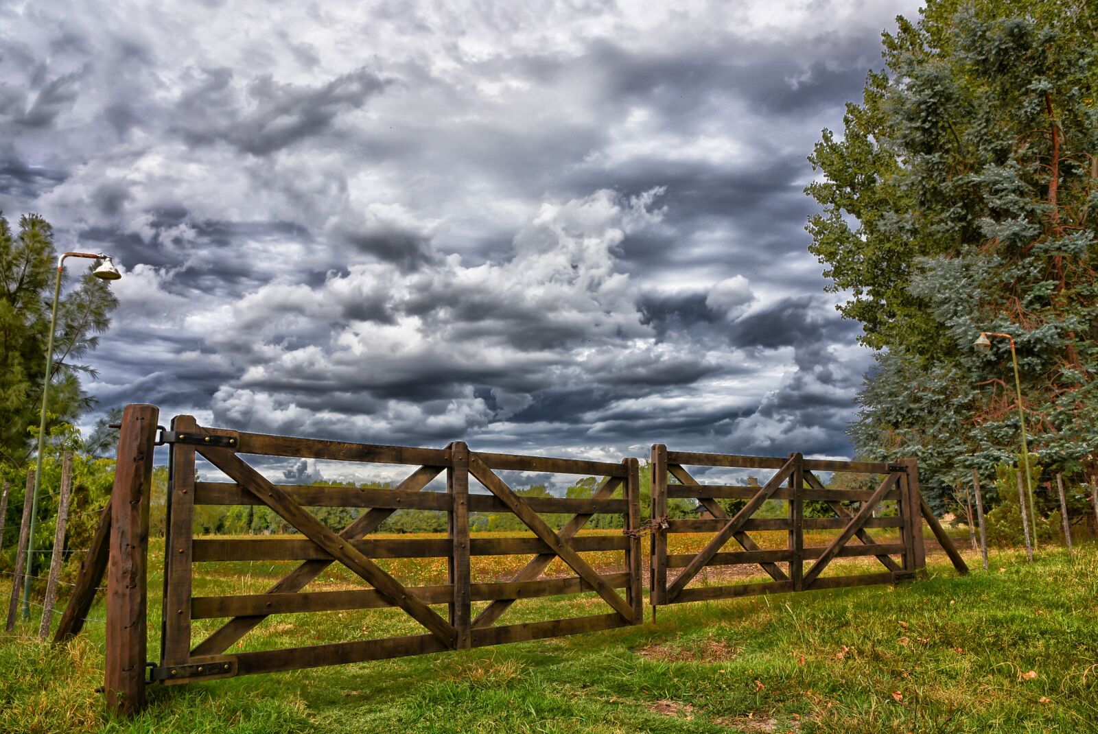 Nikon D5200 sample photo. Wood, nature, outdoors photography