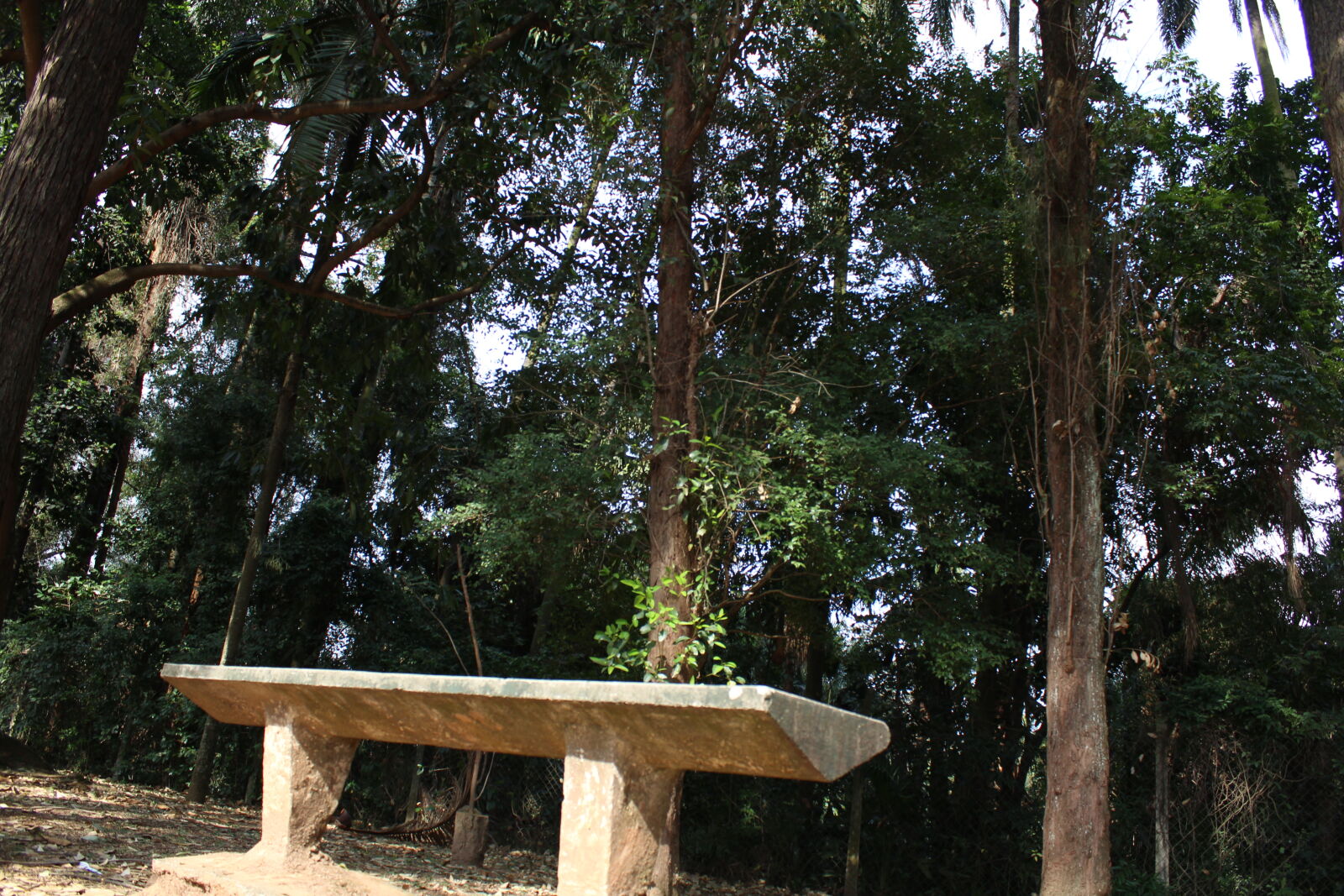 Canon EOS 1200D (EOS Rebel T5 / EOS Kiss X70 / EOS Hi) sample photo. Bench, city, park, lucas photography