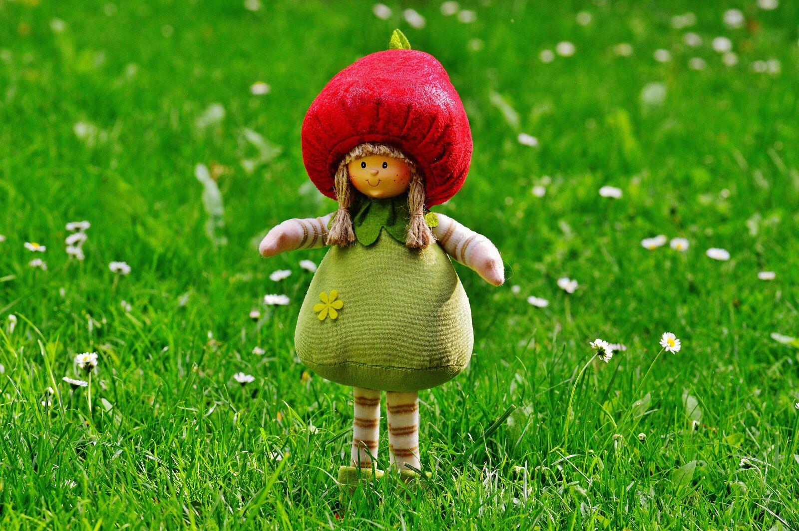 Nikon D3200 sample photo. Dwarf, imp, sweet photography