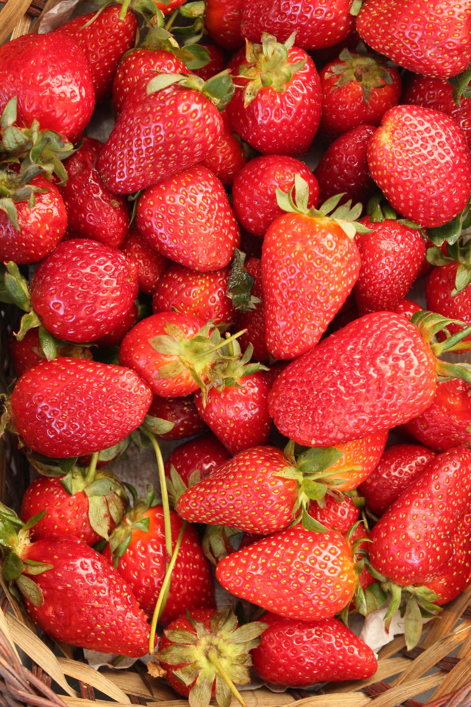 Canon EOS 1100D (EOS Rebel T3 / EOS Kiss X50) sample photo. Strawberry, red, fruit photography