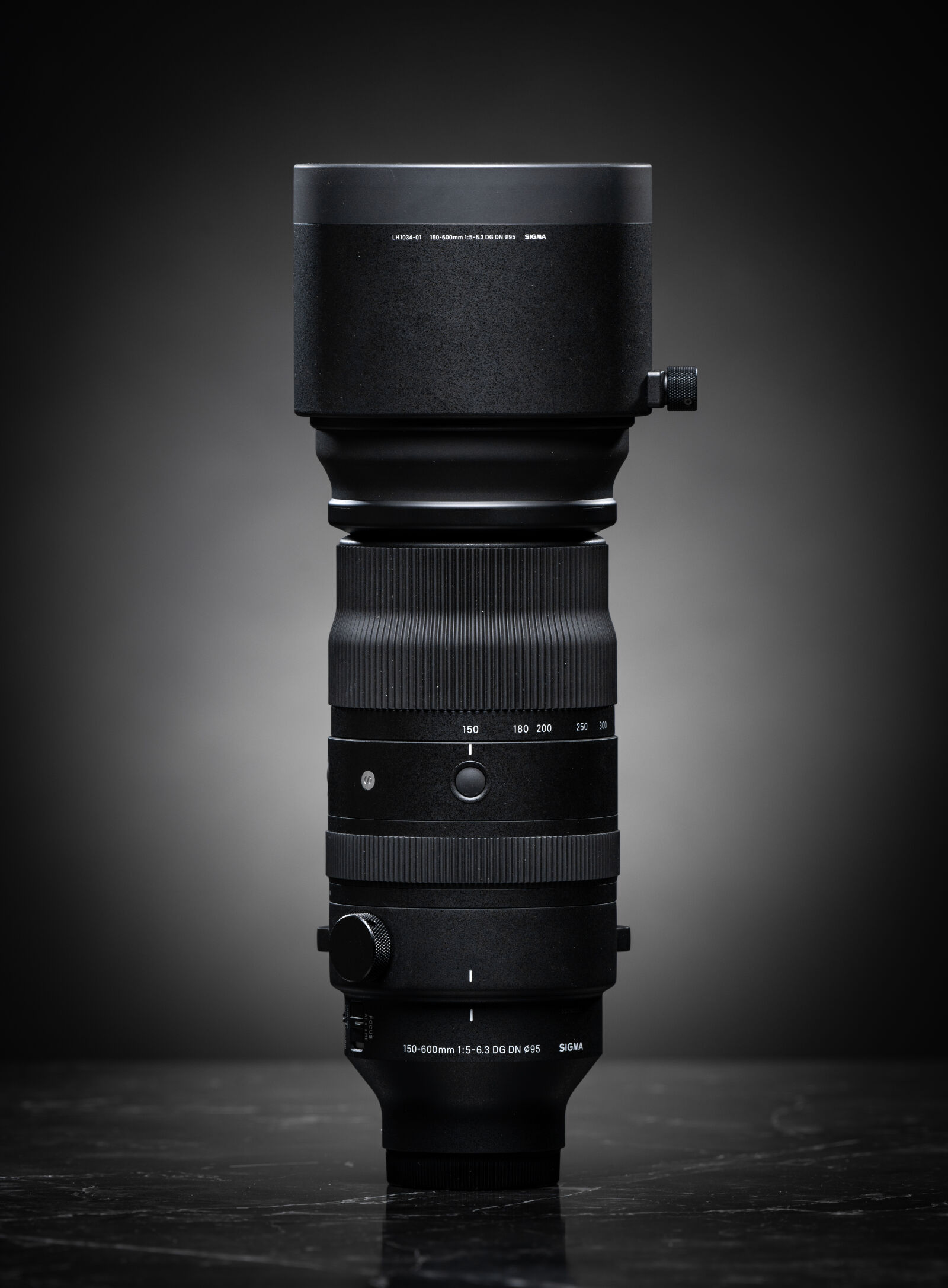 Nikon Z7 II sample photo. Sigma 150-600mm f 5-6.3 photography