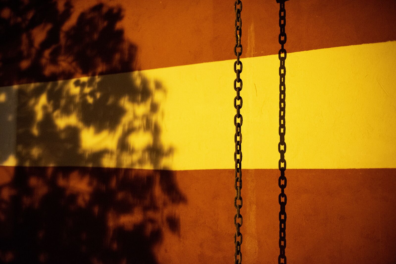 Nikon D750 sample photo. Shadow, texture, pattern photography