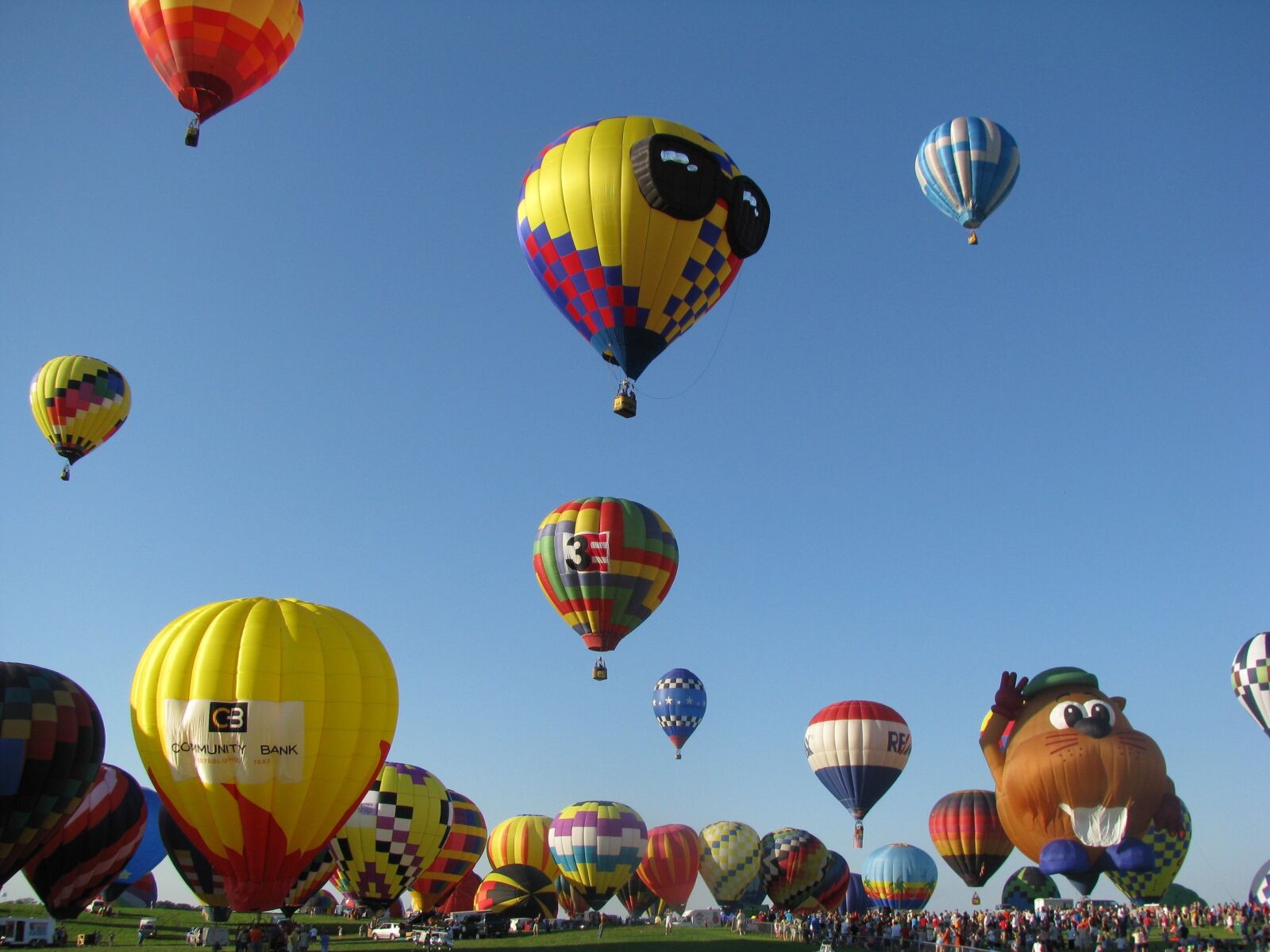 Canon POWERSHOT SX100 IS sample photo. Hot air balloon, sky photography