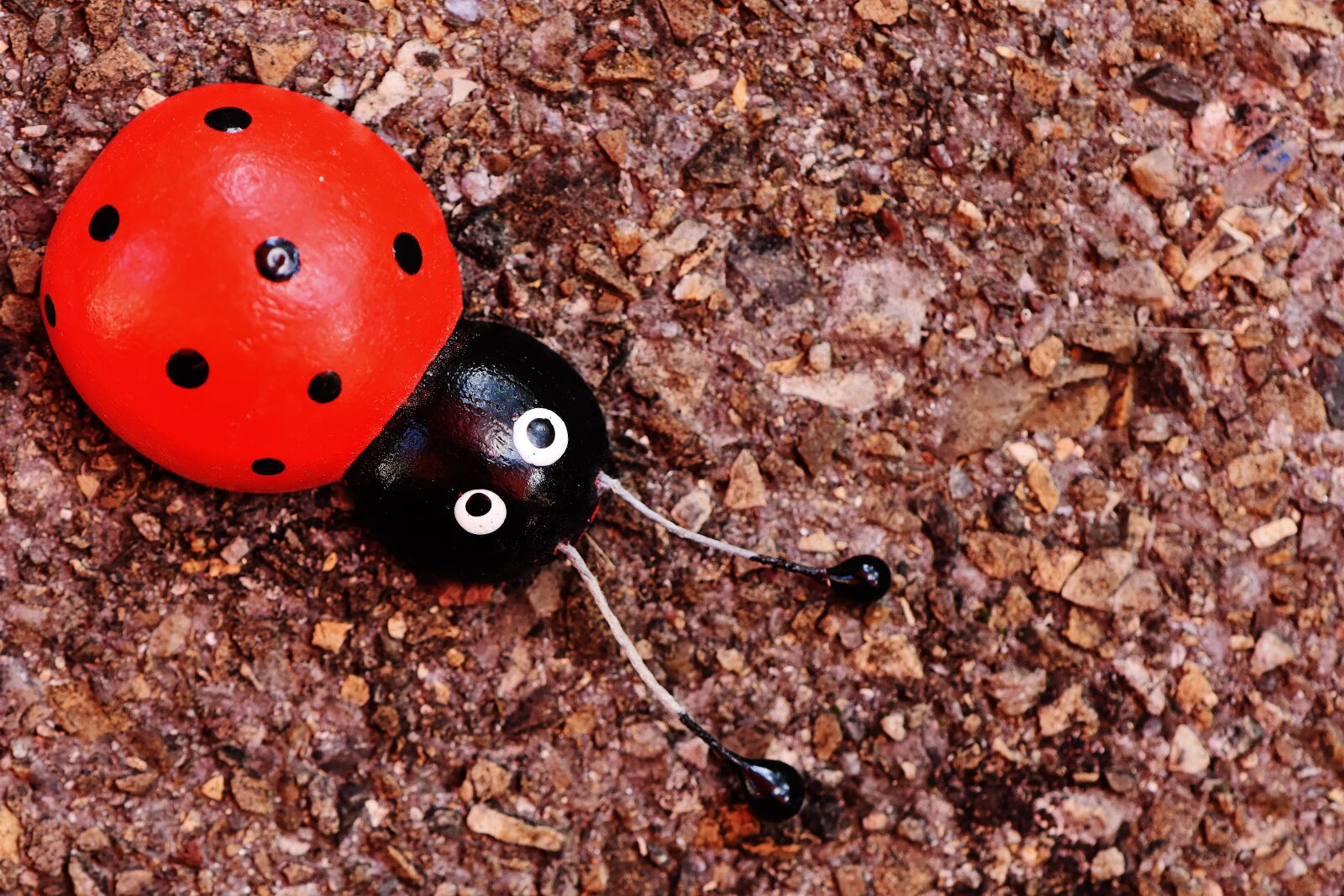 Nikon D7200 sample photo. Ladybug, wood, greeting card photography