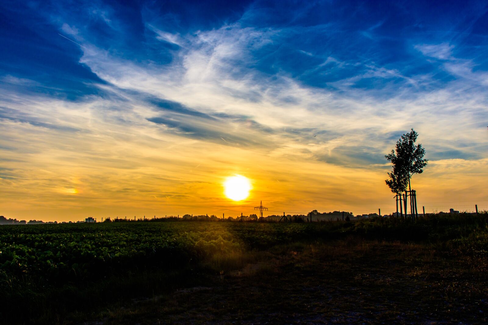 Canon EOS 800D (EOS Rebel T7i / EOS Kiss X9i) sample photo. Sunset, sun, tree photography