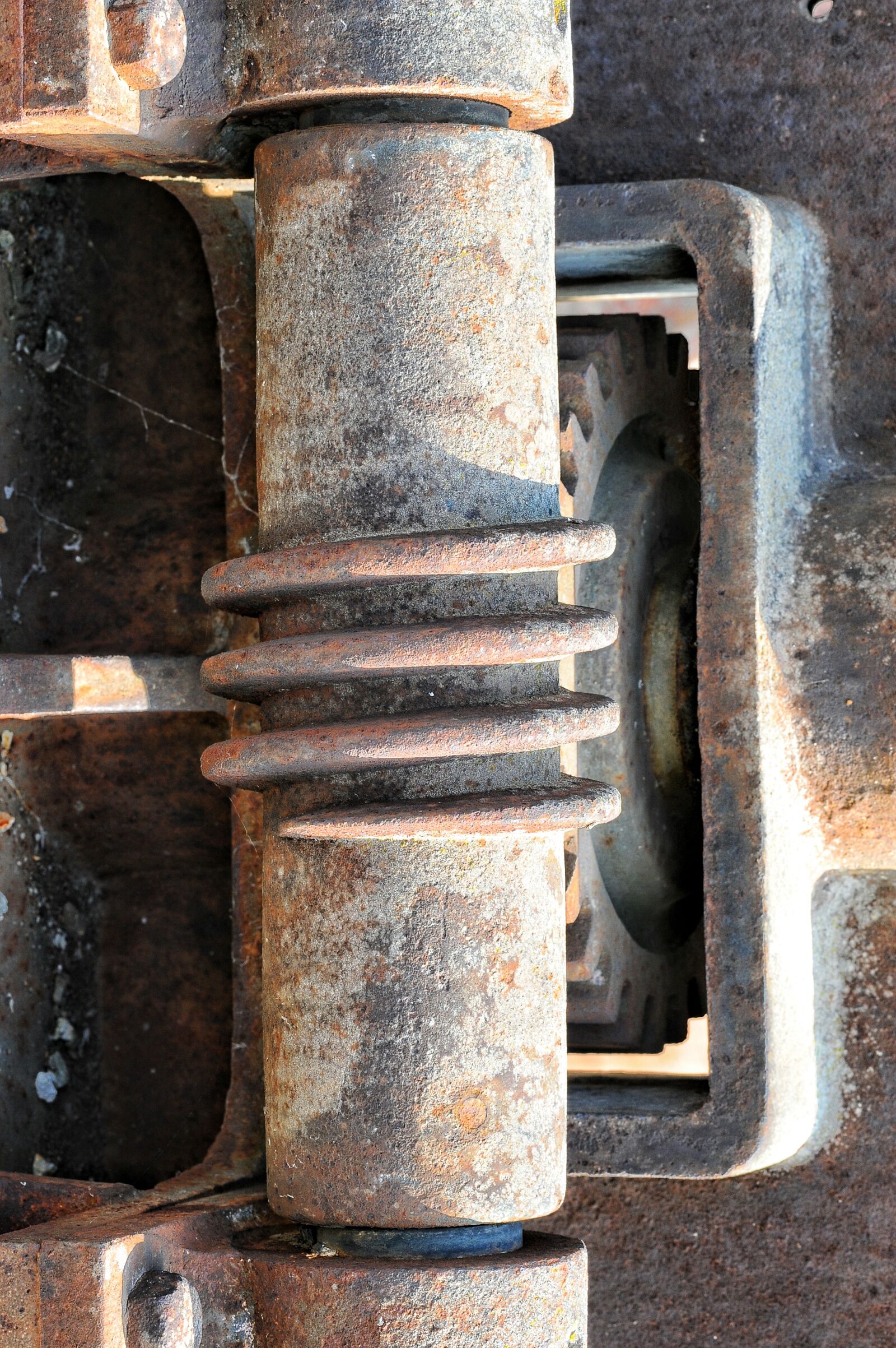 Nikon D700 sample photo. Iron, rust, texture photography