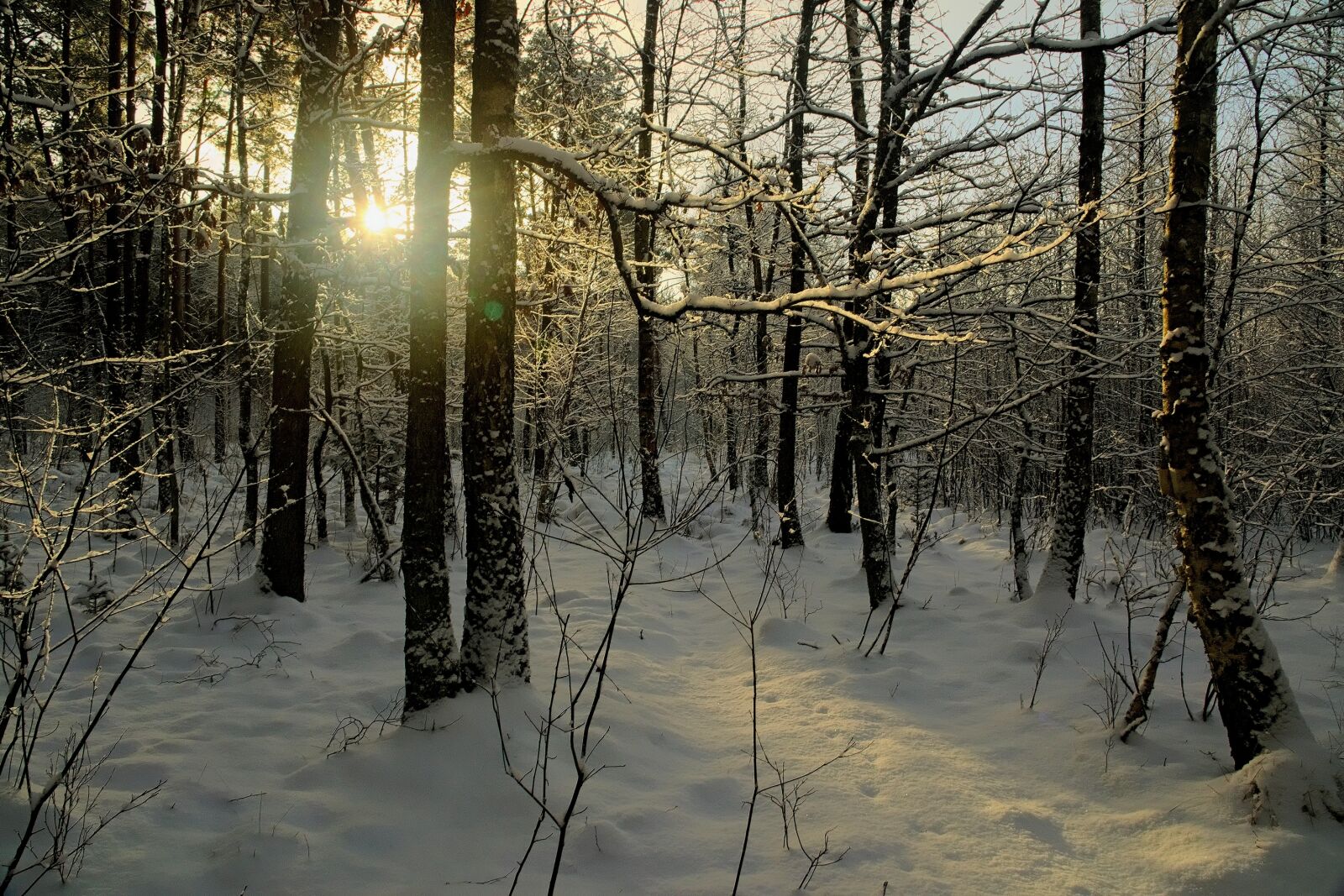 Nikon D3300 sample photo. Winter, snow, view photography
