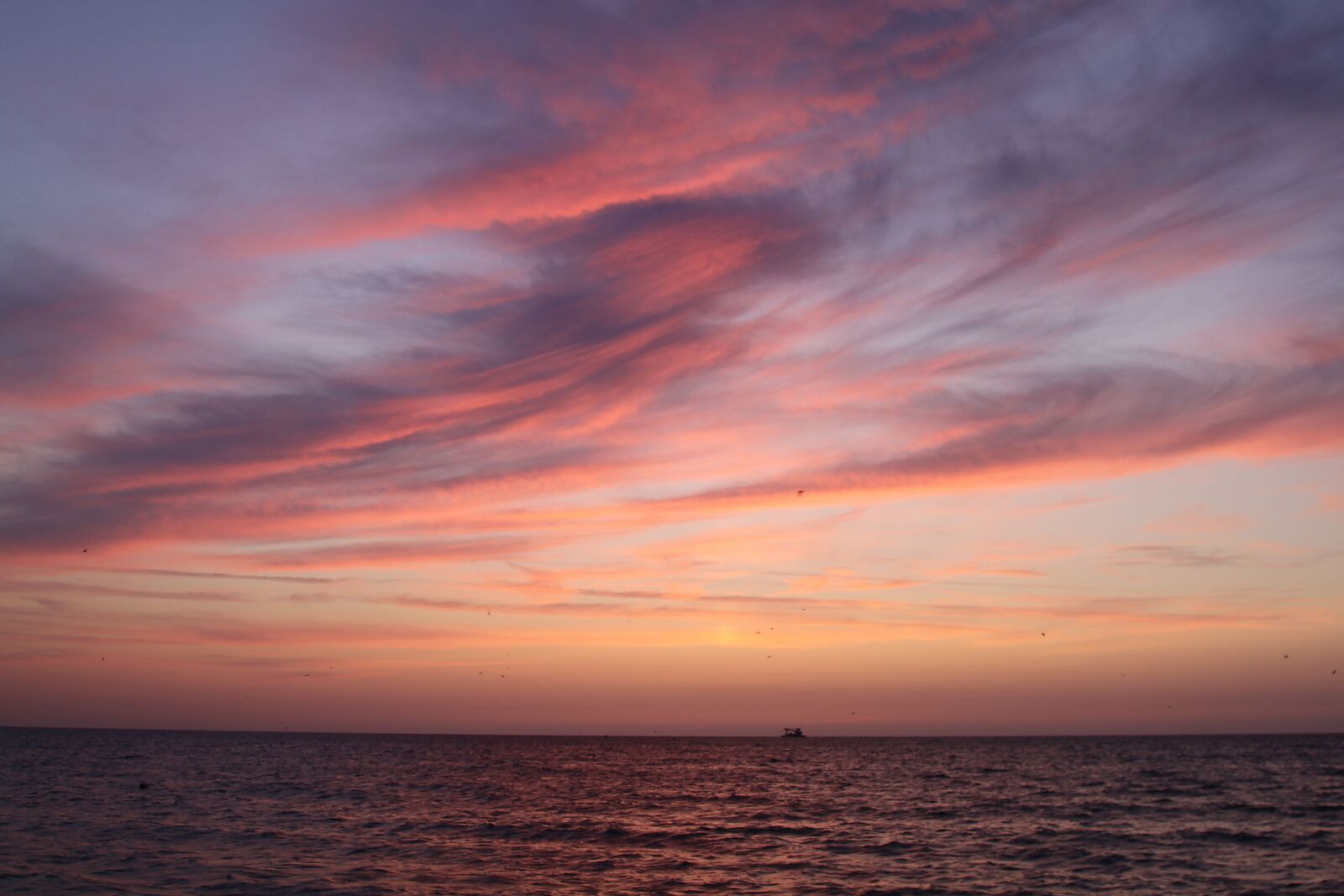 Canon EOS 500D (EOS Rebel T1i / EOS Kiss X3) sample photo. Sunset, dawn, twilight photography