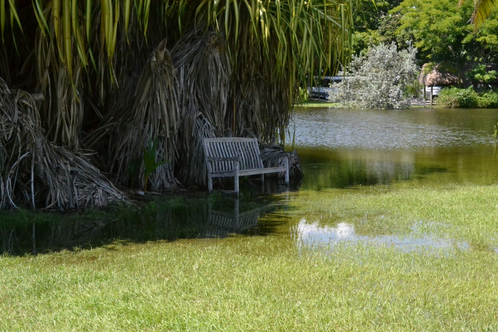 Nikon D3100 sample photo. Nature, bench, landscape photography