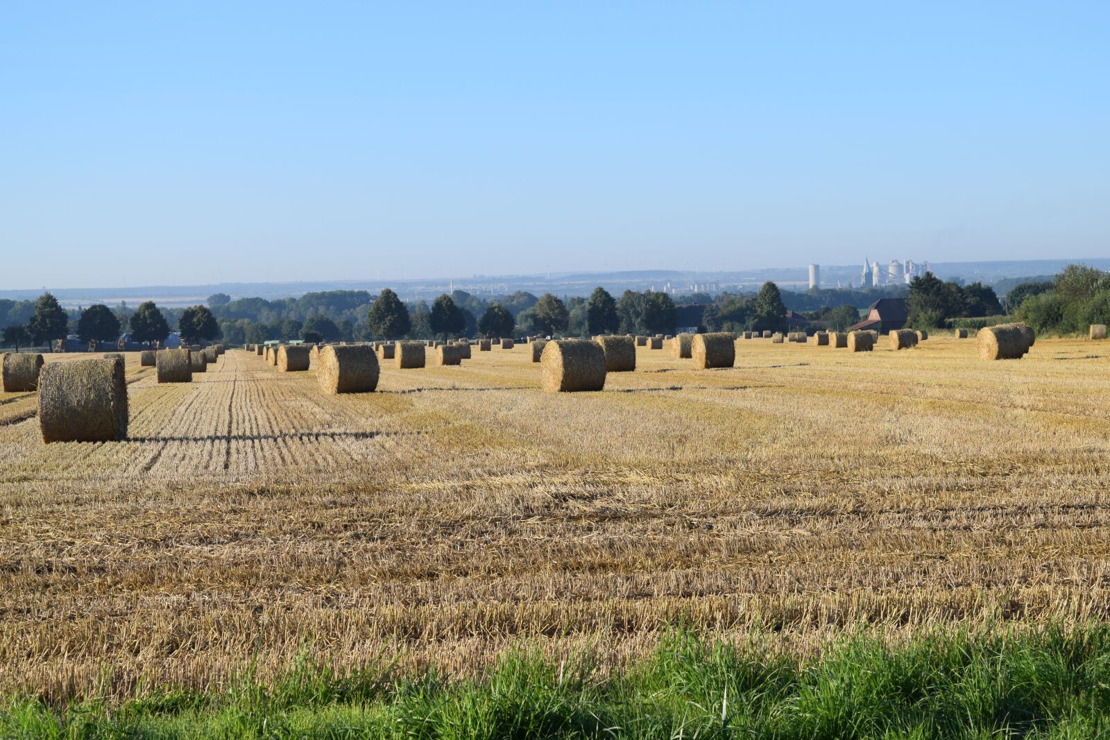 Nikon D3300 sample photo. Harvest, straw bales, round photography