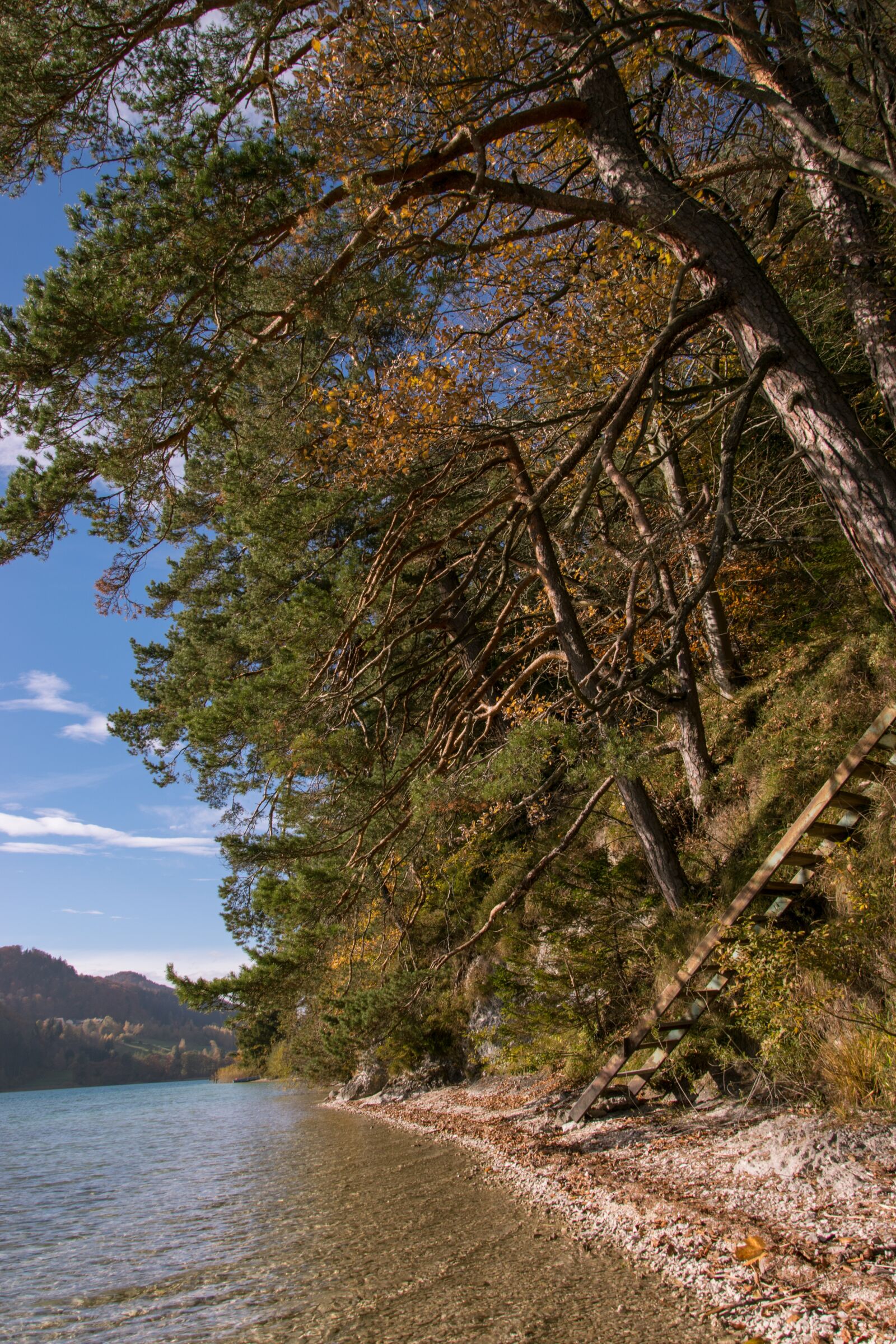 Nikon D5300 sample photo. Autumn, fuschlsee, tree photography