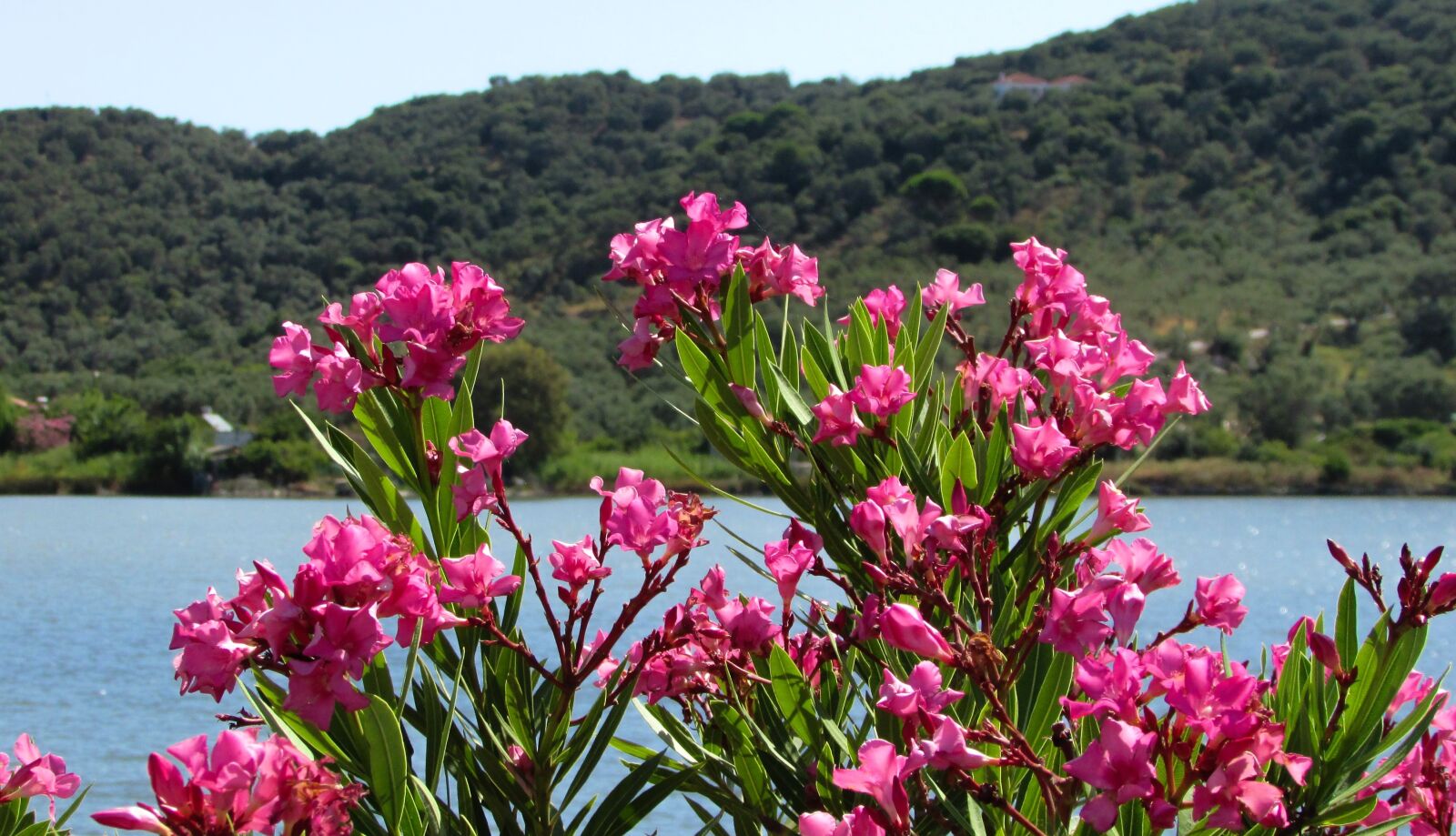 Canon PowerShot SX400 IS sample photo. Greece, xanemos, lagoon photography