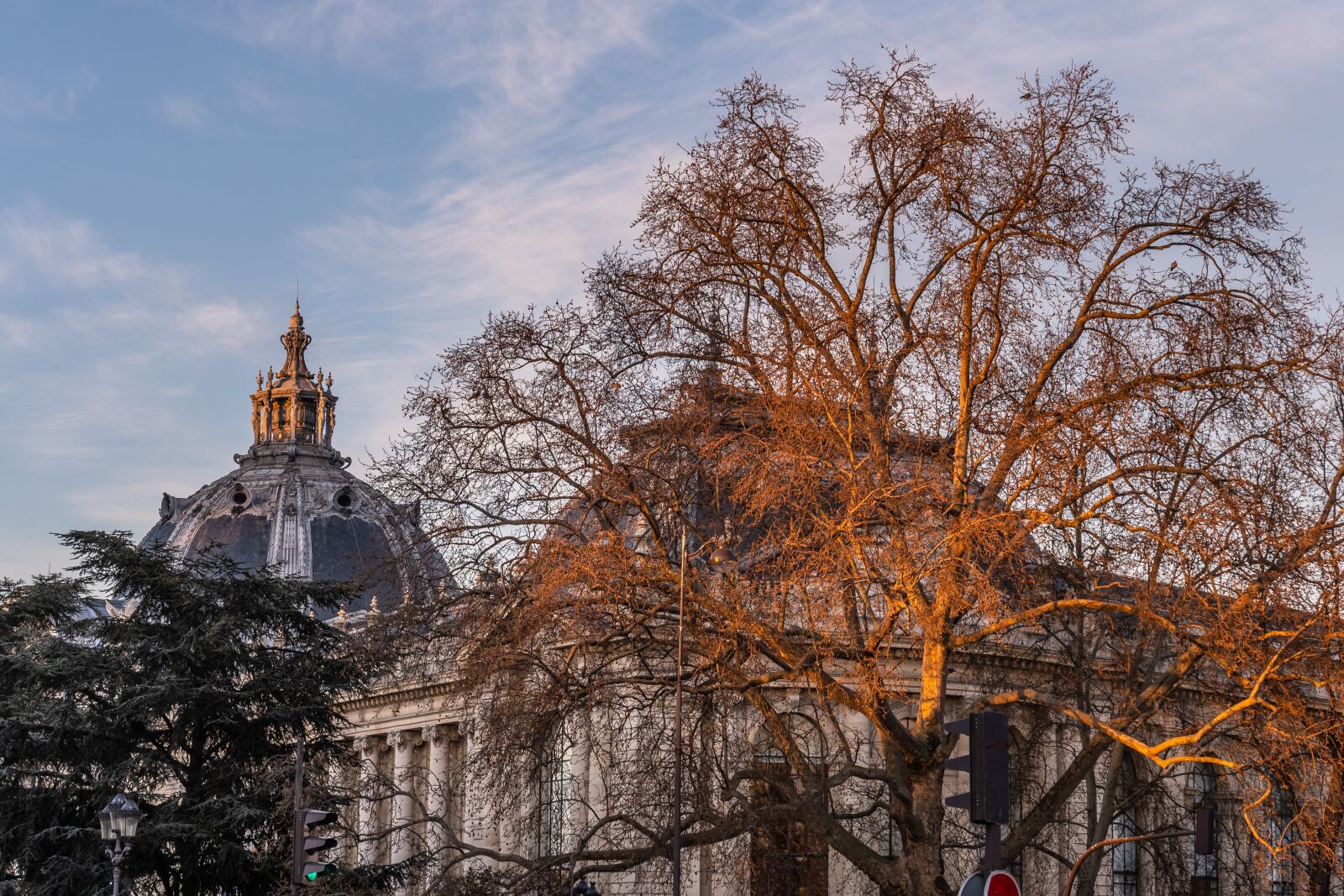 Nikon D500 sample photo. Architecture, sky, tree photography