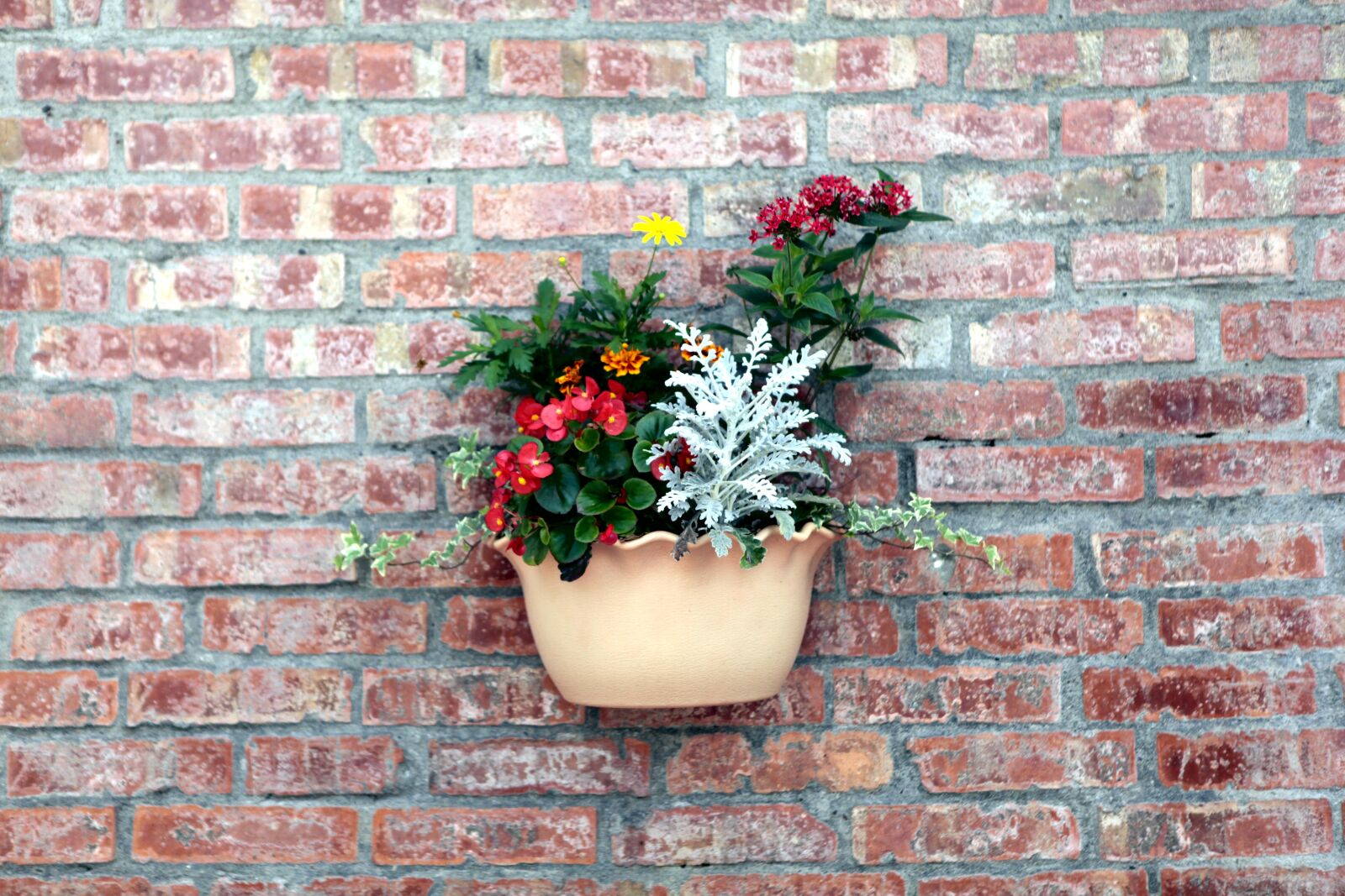 Canon EOS 5D Mark II sample photo. Red brick wall, pots photography