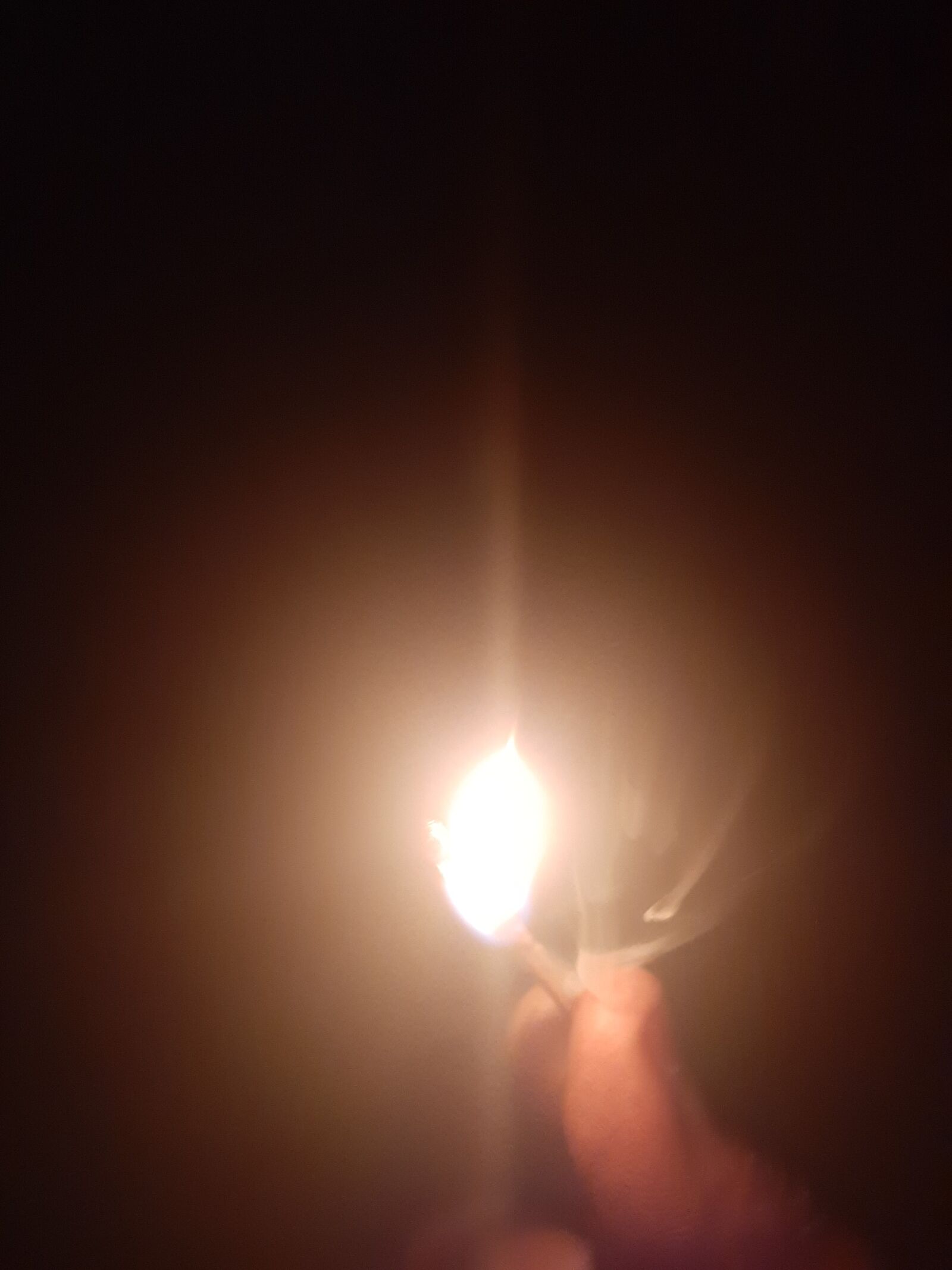 Samsung Galaxy A50 sample photo
