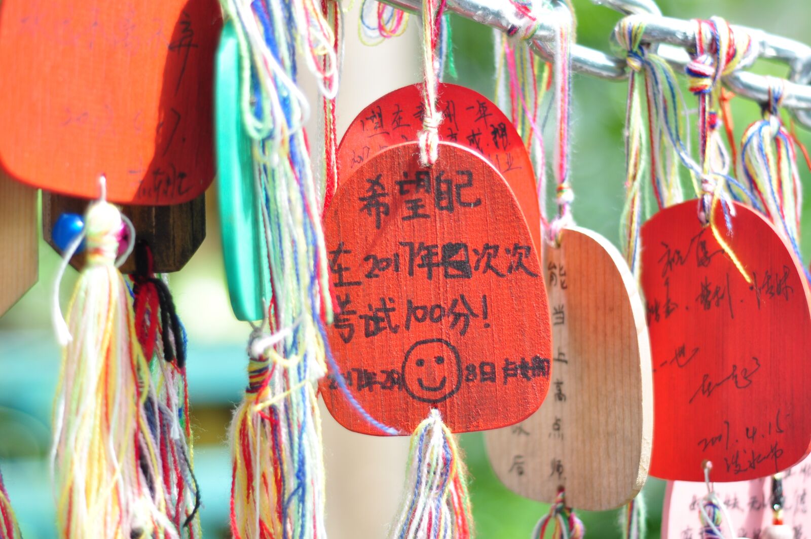 Nikon D90 sample photo. Make a wish card photography