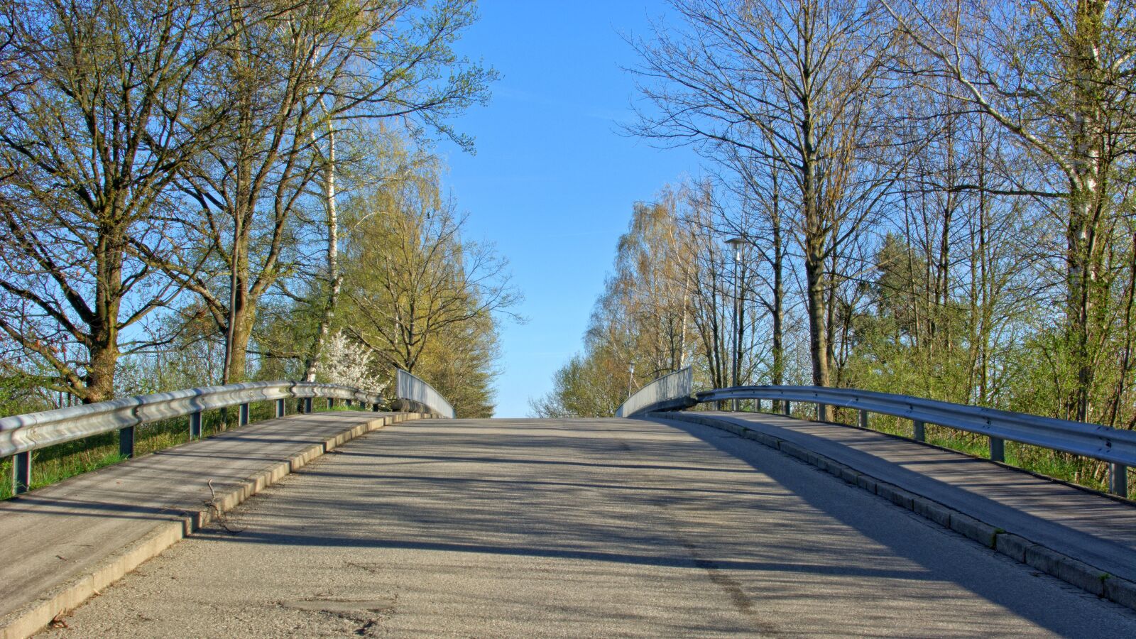 Nikon D7100 sample photo. Road, hill, trees photography