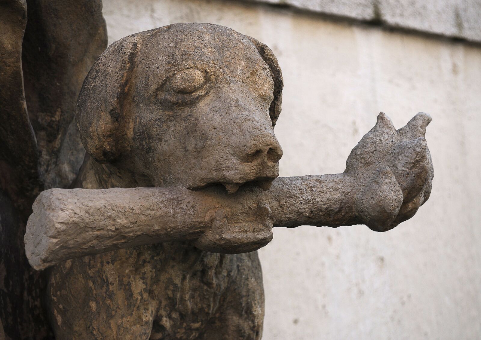 Nikon D5000 sample photo. Statue, czech budejovice, dog photography