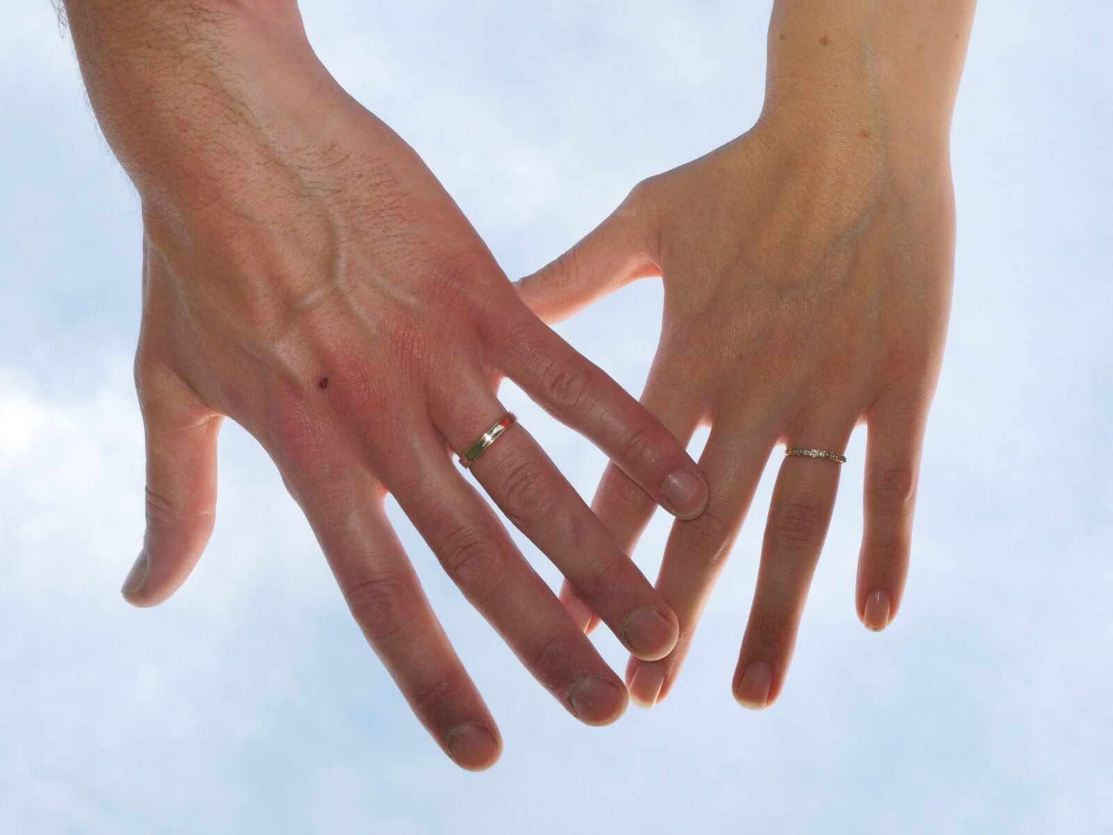 Olympus E-450 (EVOLT E-450) sample photo. Wedding, alliance, sky photography