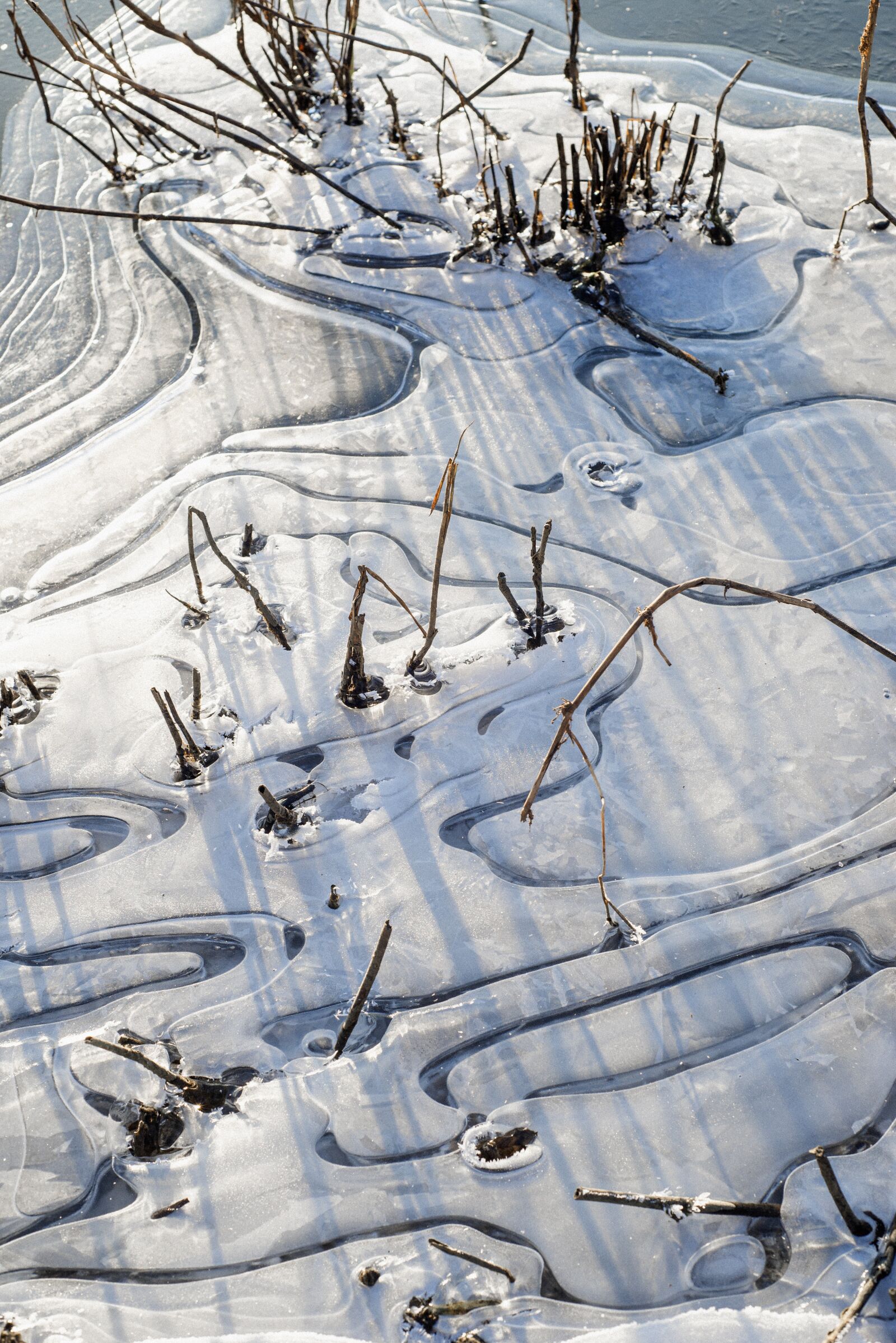 Nikon D610 sample photo. Ice, snow, cold photography