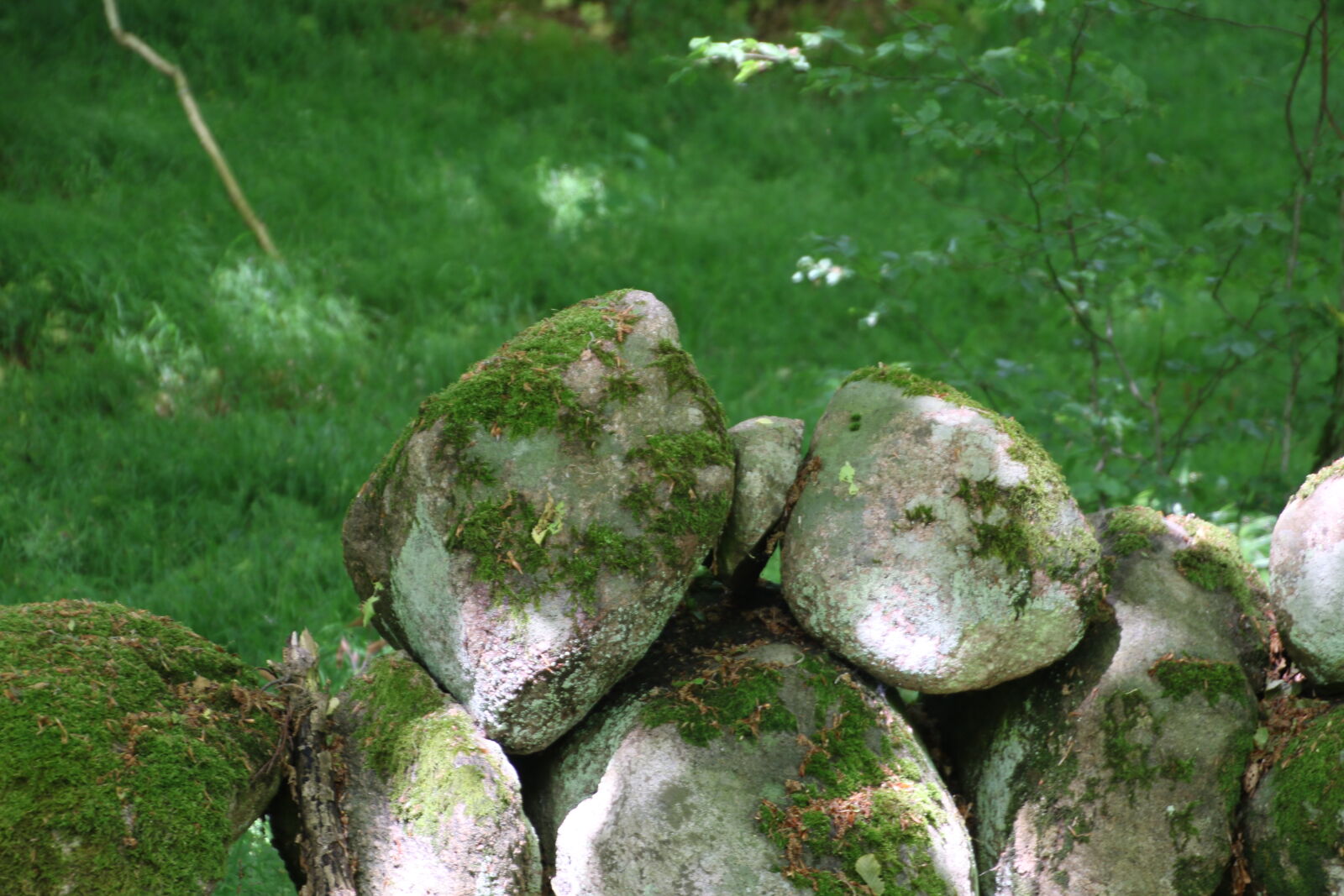 Canon EOS 7D Mark II sample photo. Boulders, fairies, fairy, tale photography