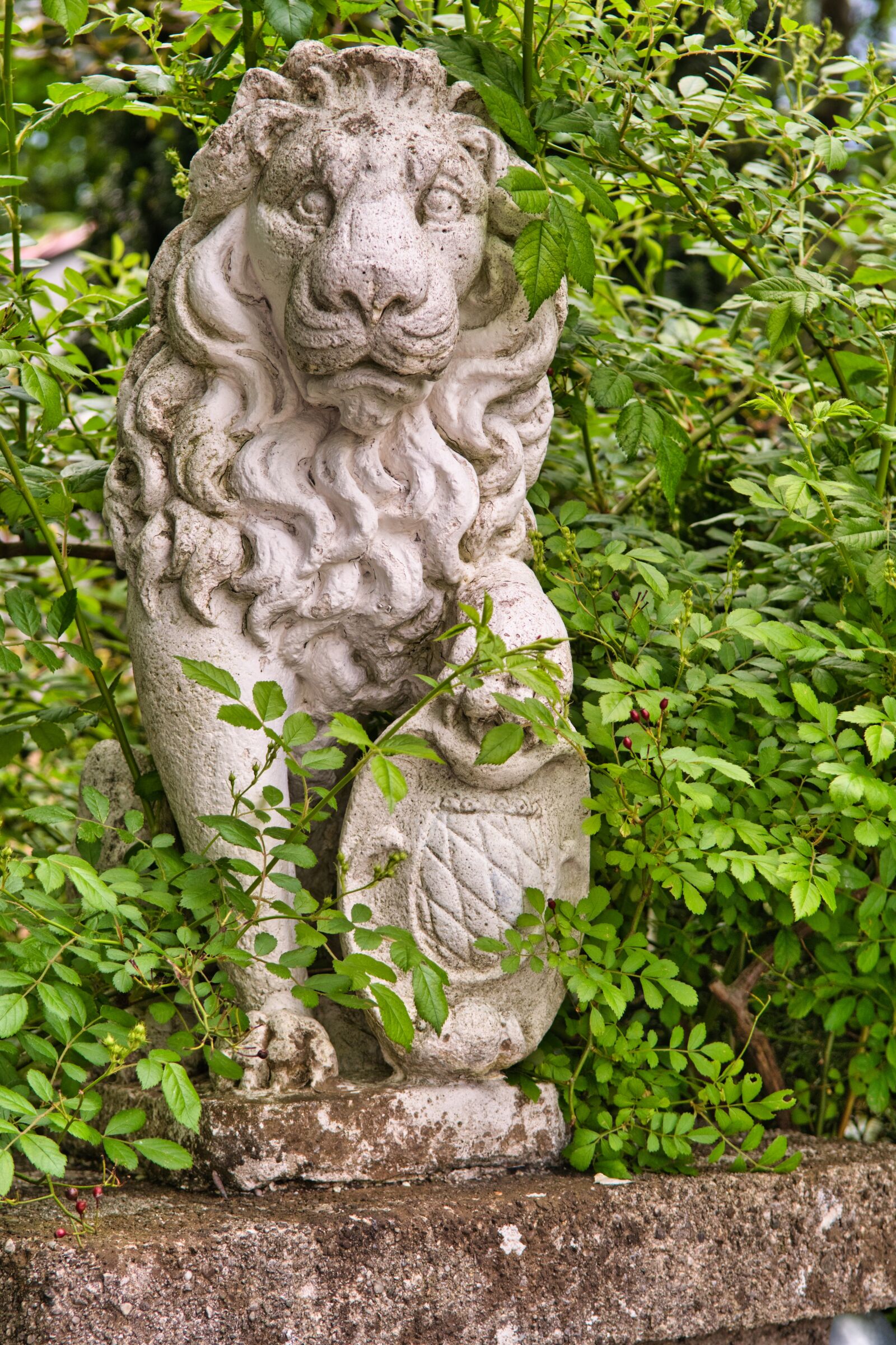 Nikon D7500 sample photo. Statue, figure, lion photography