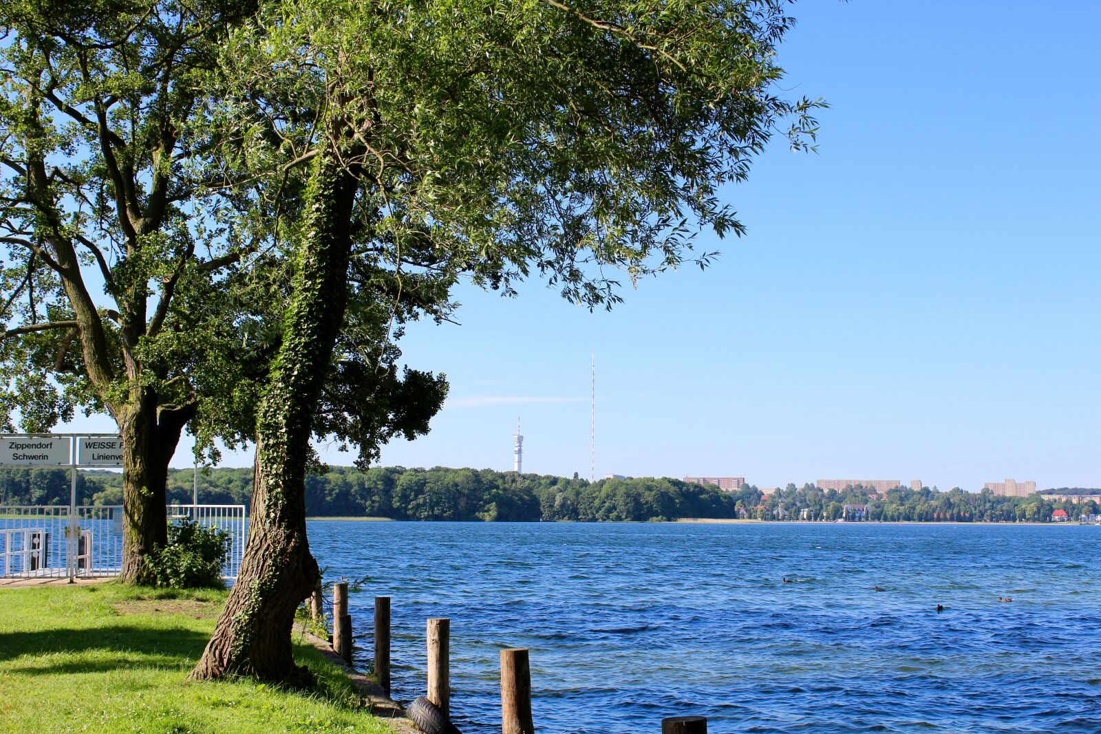 Canon EOS 1300D (EOS Rebel T6 / EOS Kiss X80) sample photo. Schwerin, rabbit werder, investors photography