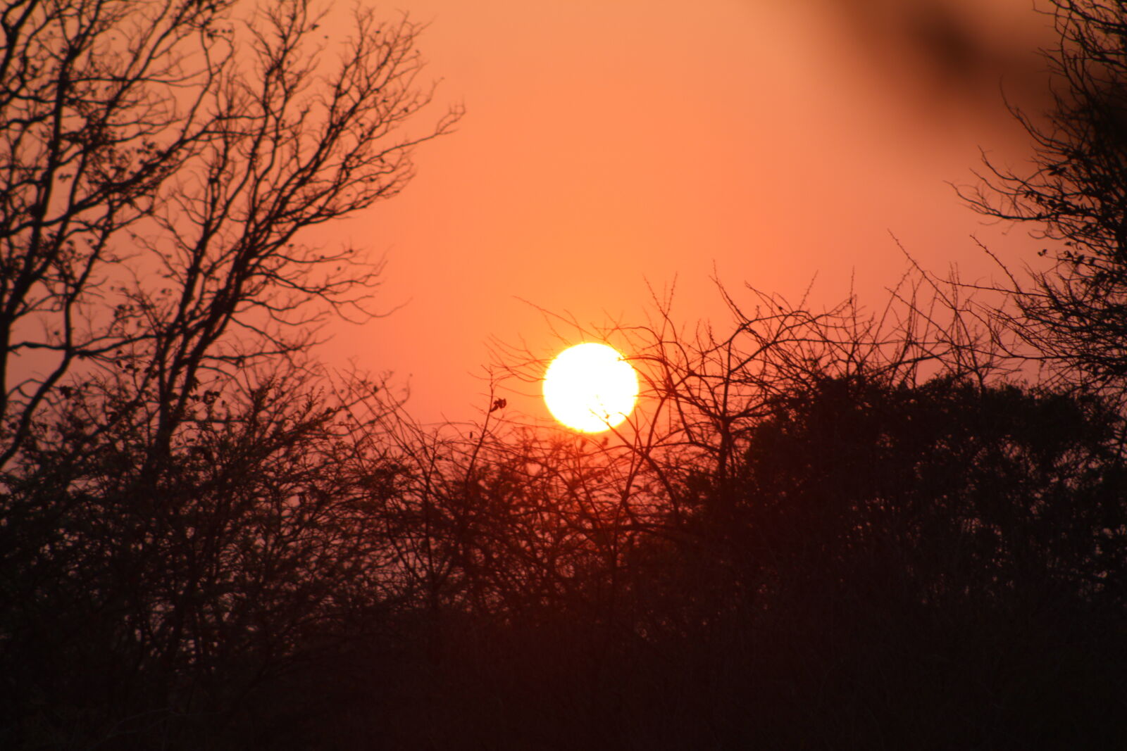 Canon EF 75-300mm f/4-5.6 sample photo. Sunrise, zimbabwe, 01 photography