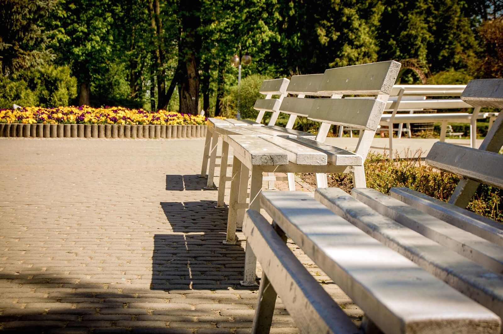 Nikon D40 sample photo. Bench, tree, flower, park photography