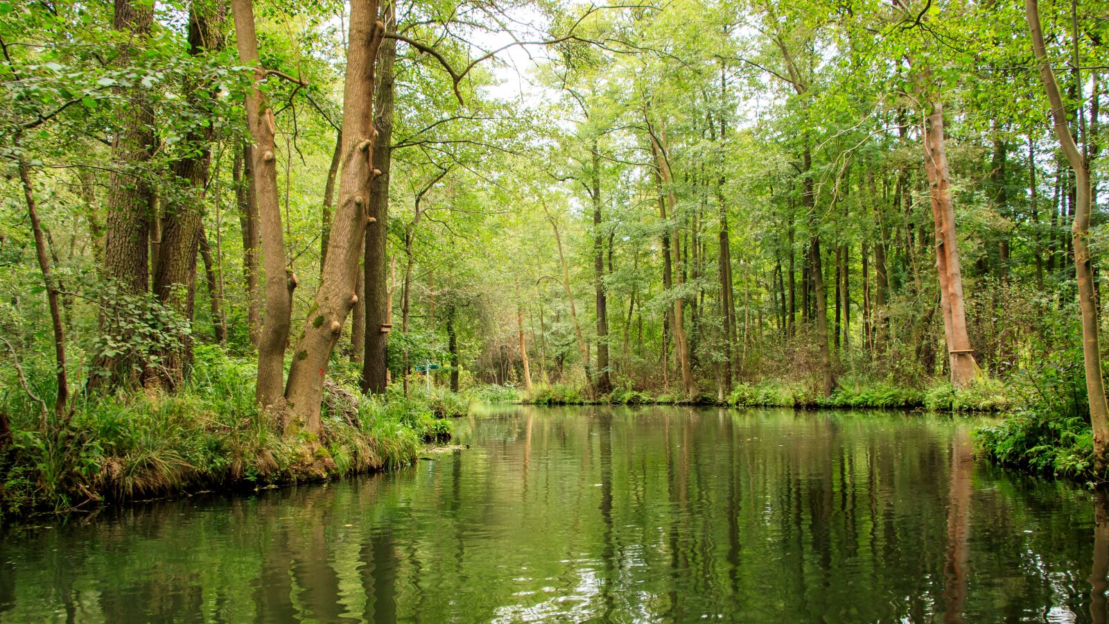 Canon EOS 80D sample photo. Spreewald, channels, depth photography