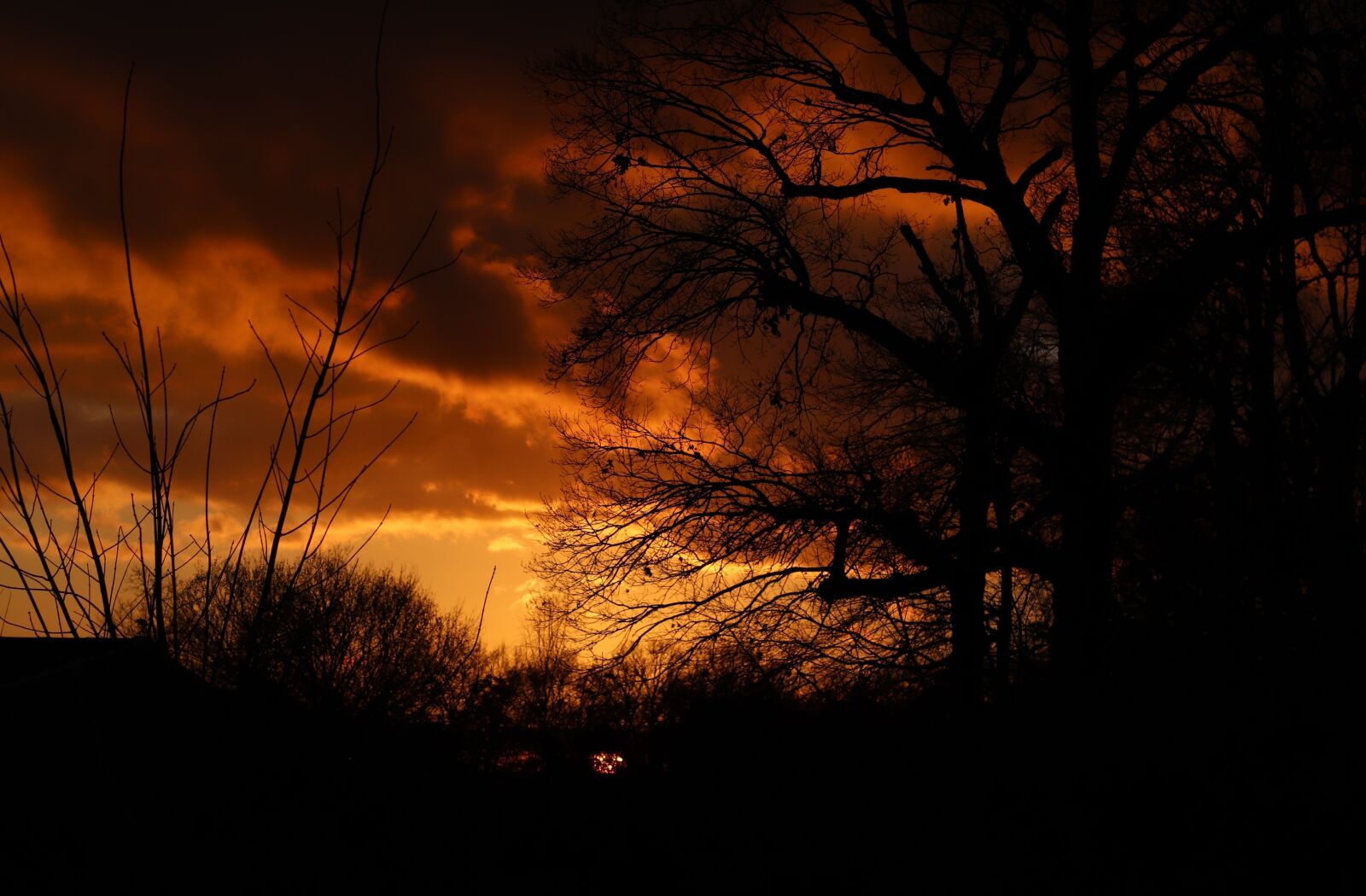 Canon EF 50mm F1.8 II sample photo. Fire, sunset, trees photography