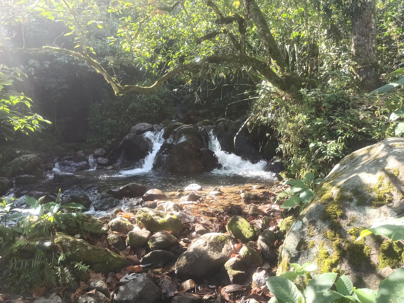 Xiaomi Redmi Note 8 Pro sample photo. Landscapes, colombia, antioquia photography