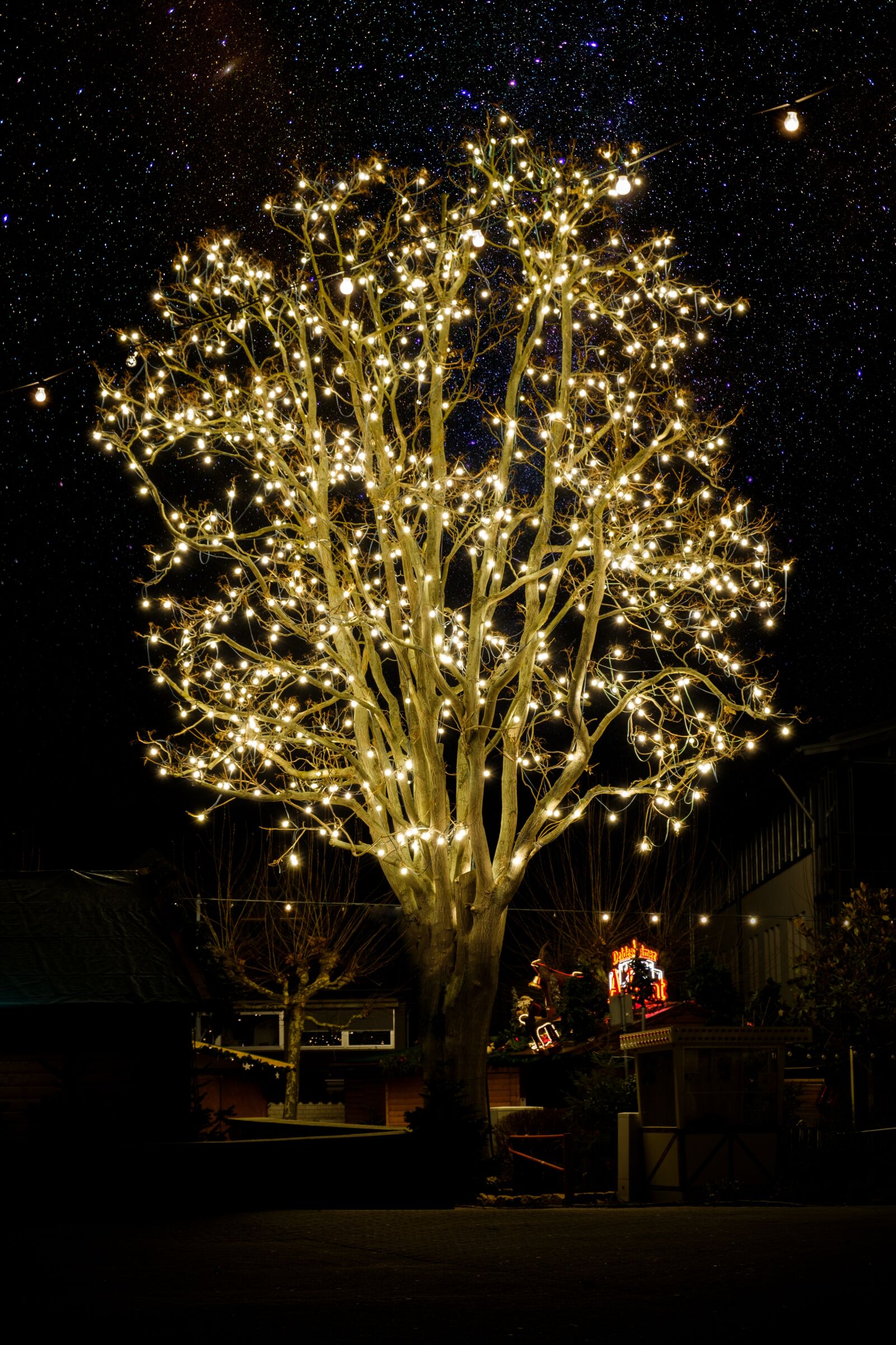 Fujifilm X-T2 sample photo. Tree, lighting, light photography