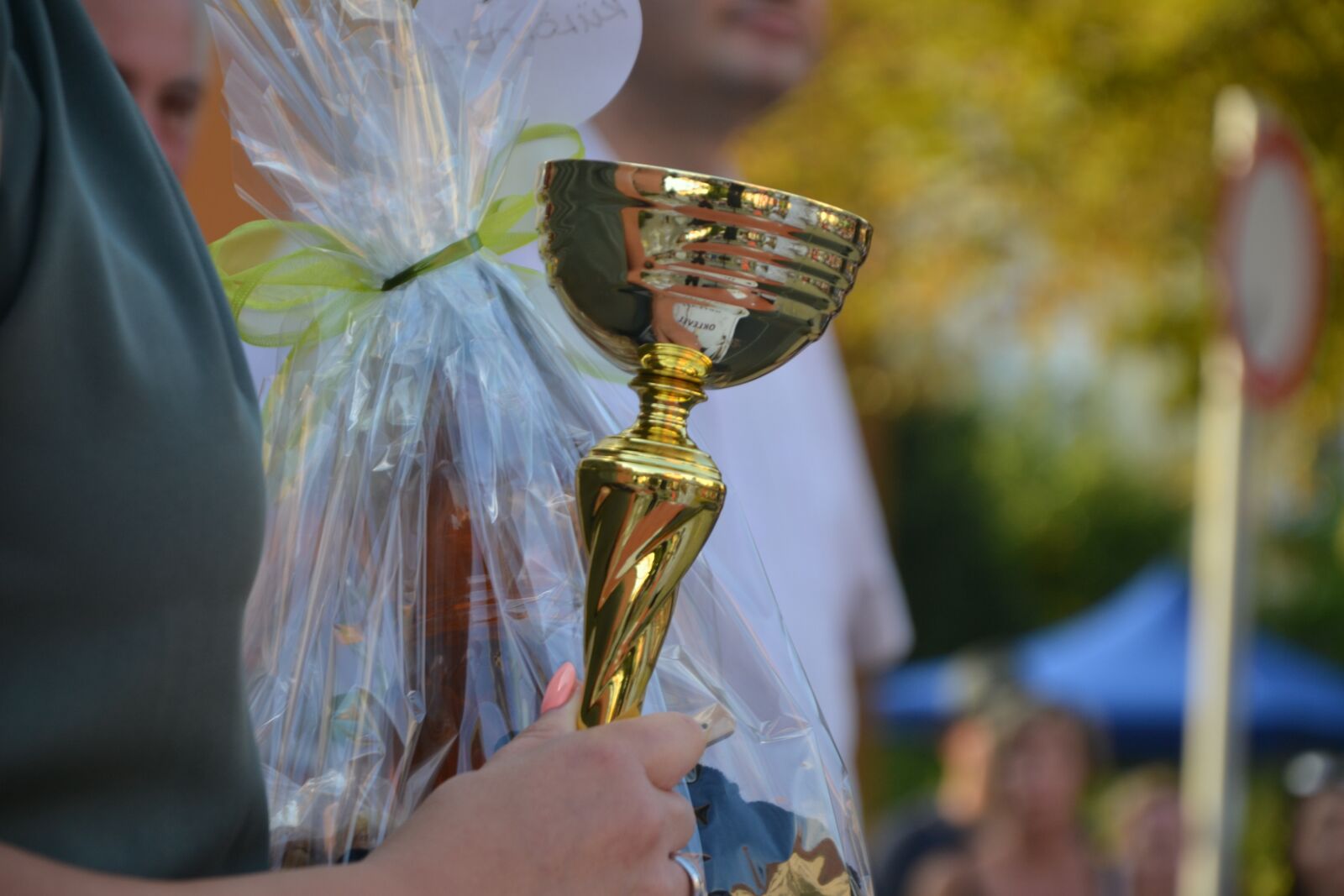 Nikon D3100 sample photo. Award, cup, champion photography