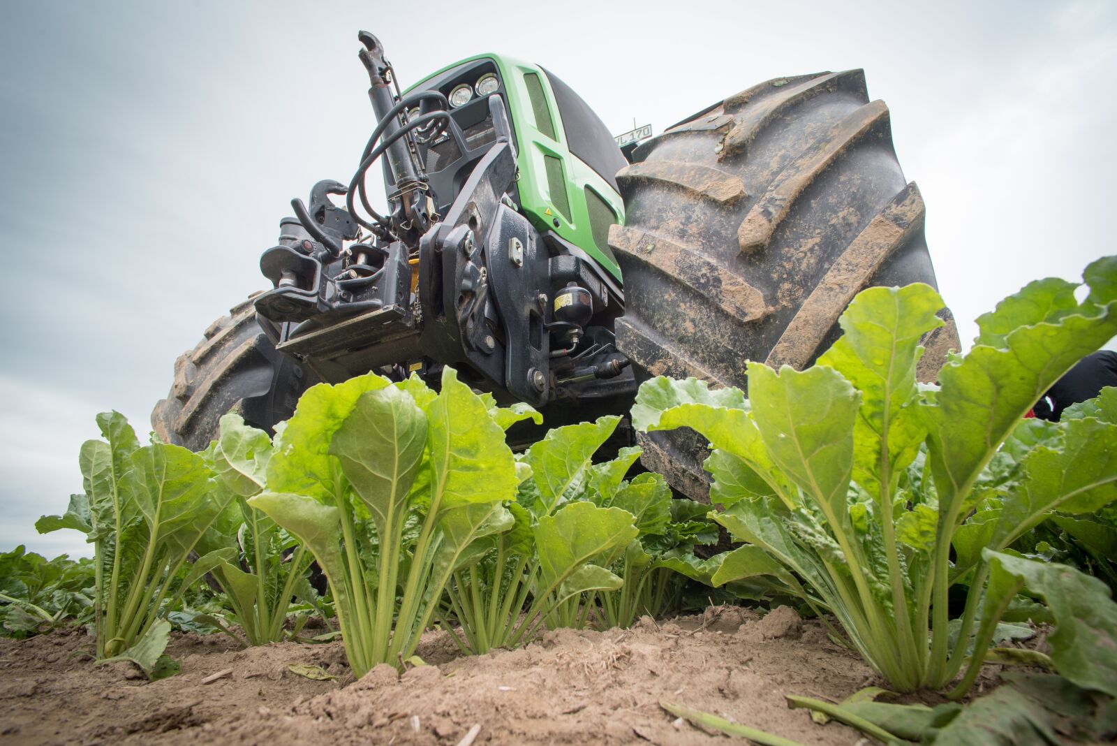 Nikon D750 sample photo. Sugar beet, agriculture, tractor photography